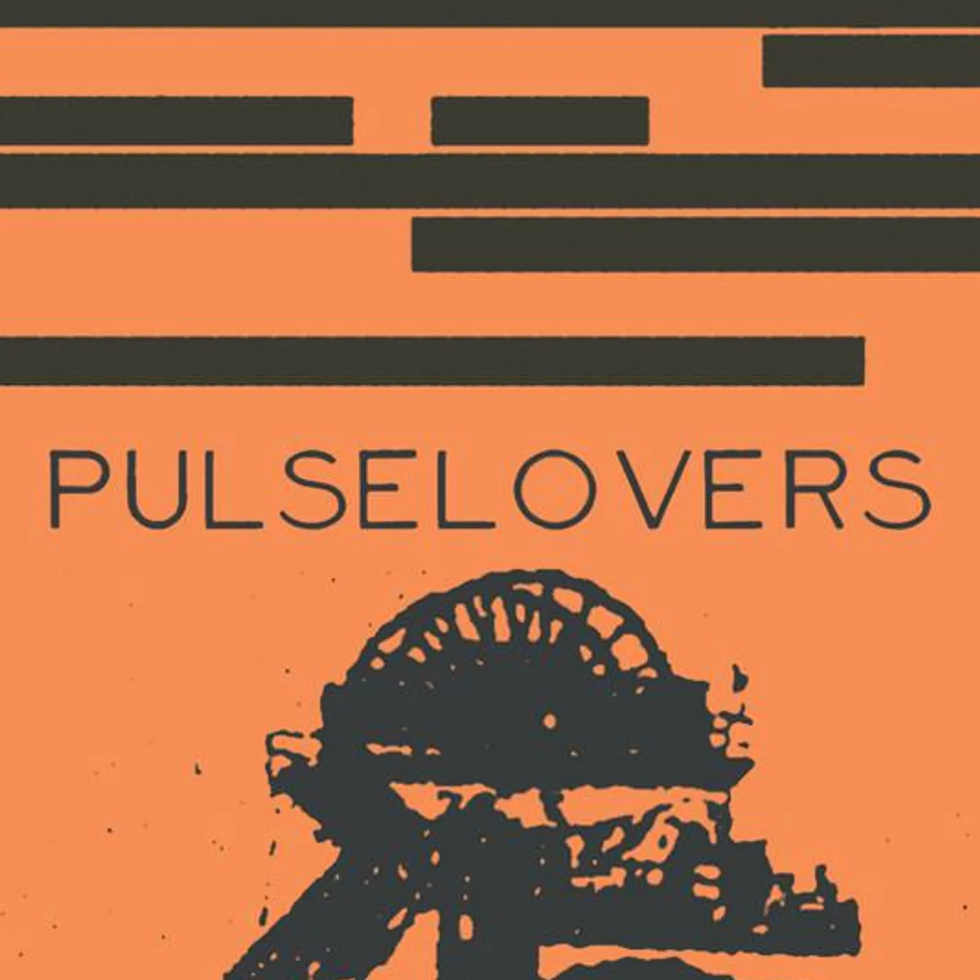Pulselovers Brand Page