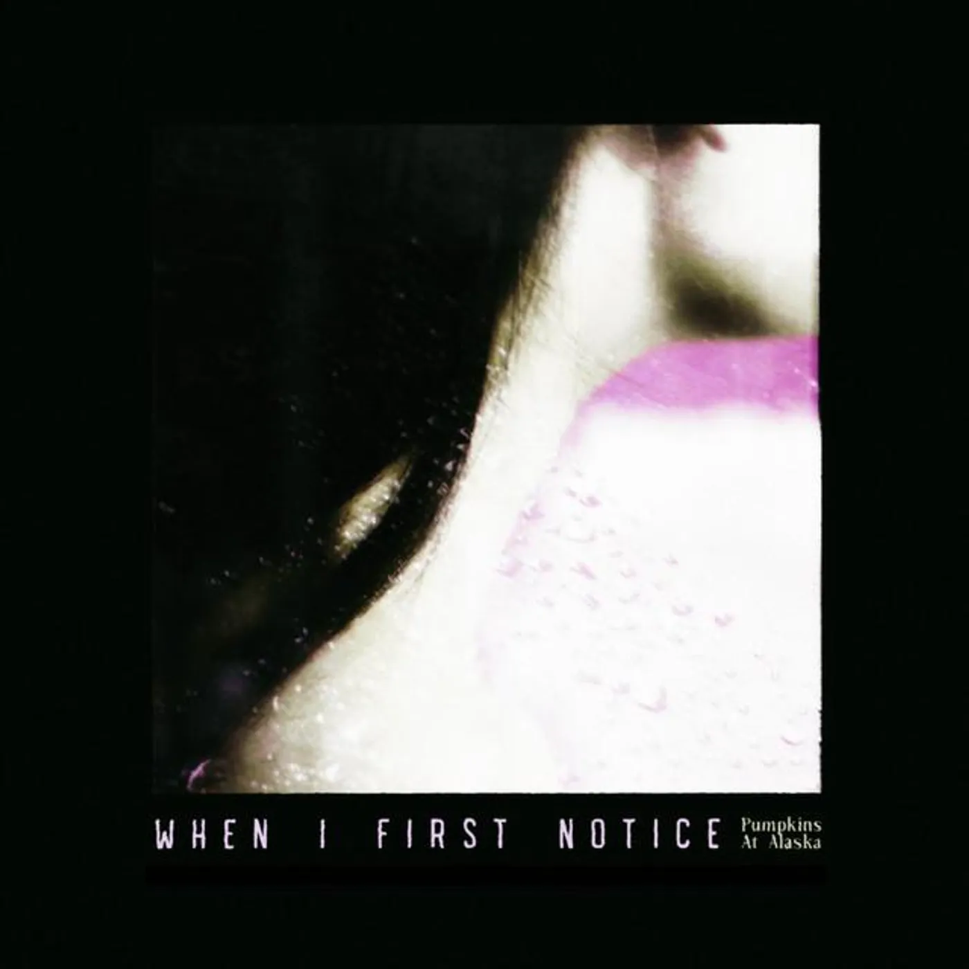 Pumpkins At Alaska Brand Page