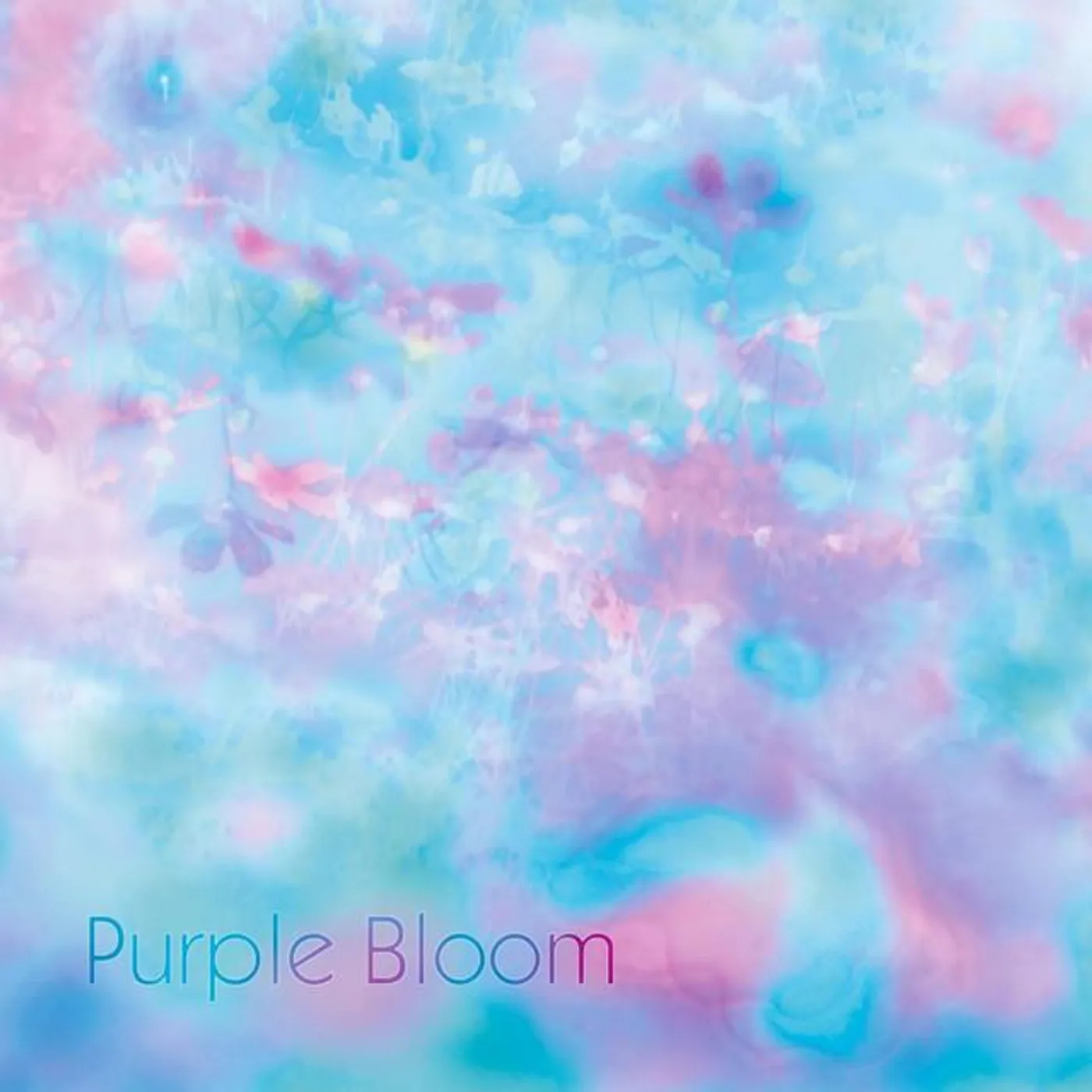 Purple Bloom Brand Page