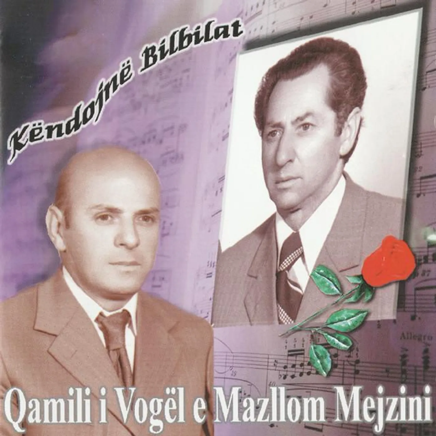 Qamili i Vogel Brand Page