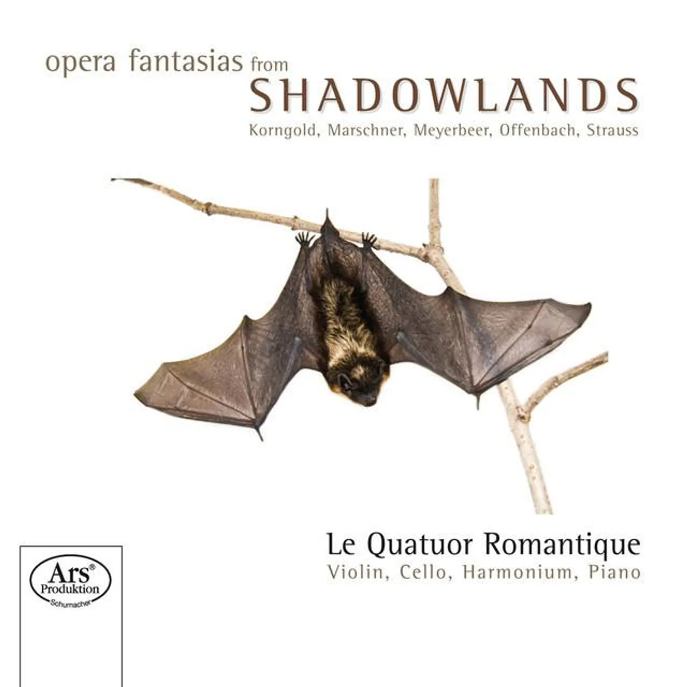 Quatuor Romantique, Le
