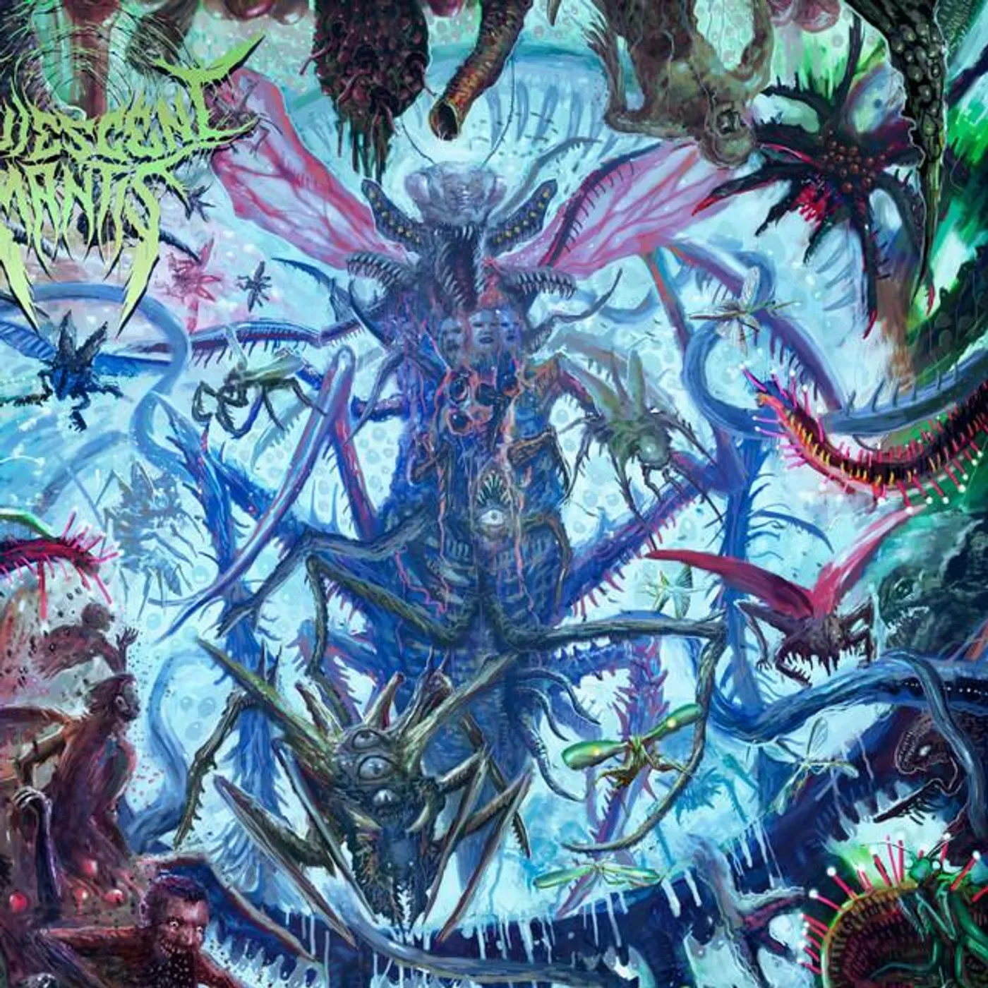 Quiescent Mantis Brand Page