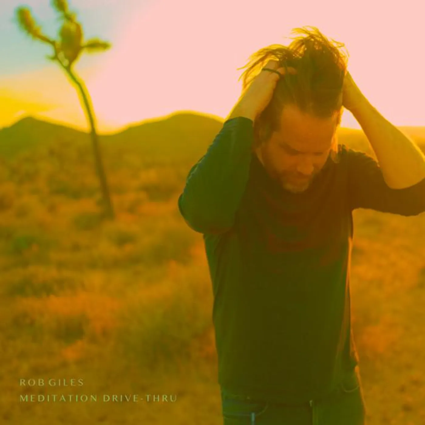 Rob Giles Brand Page