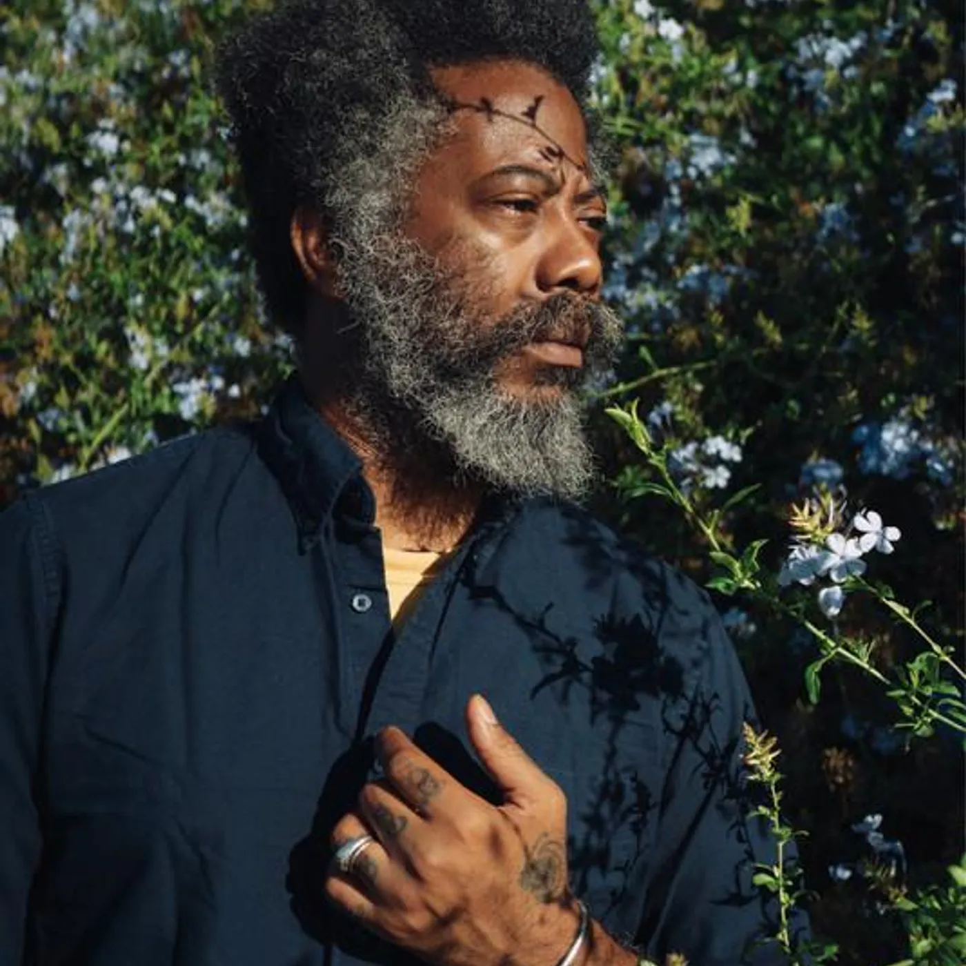 Robert Aiki Aubrey Lowe Brand Page