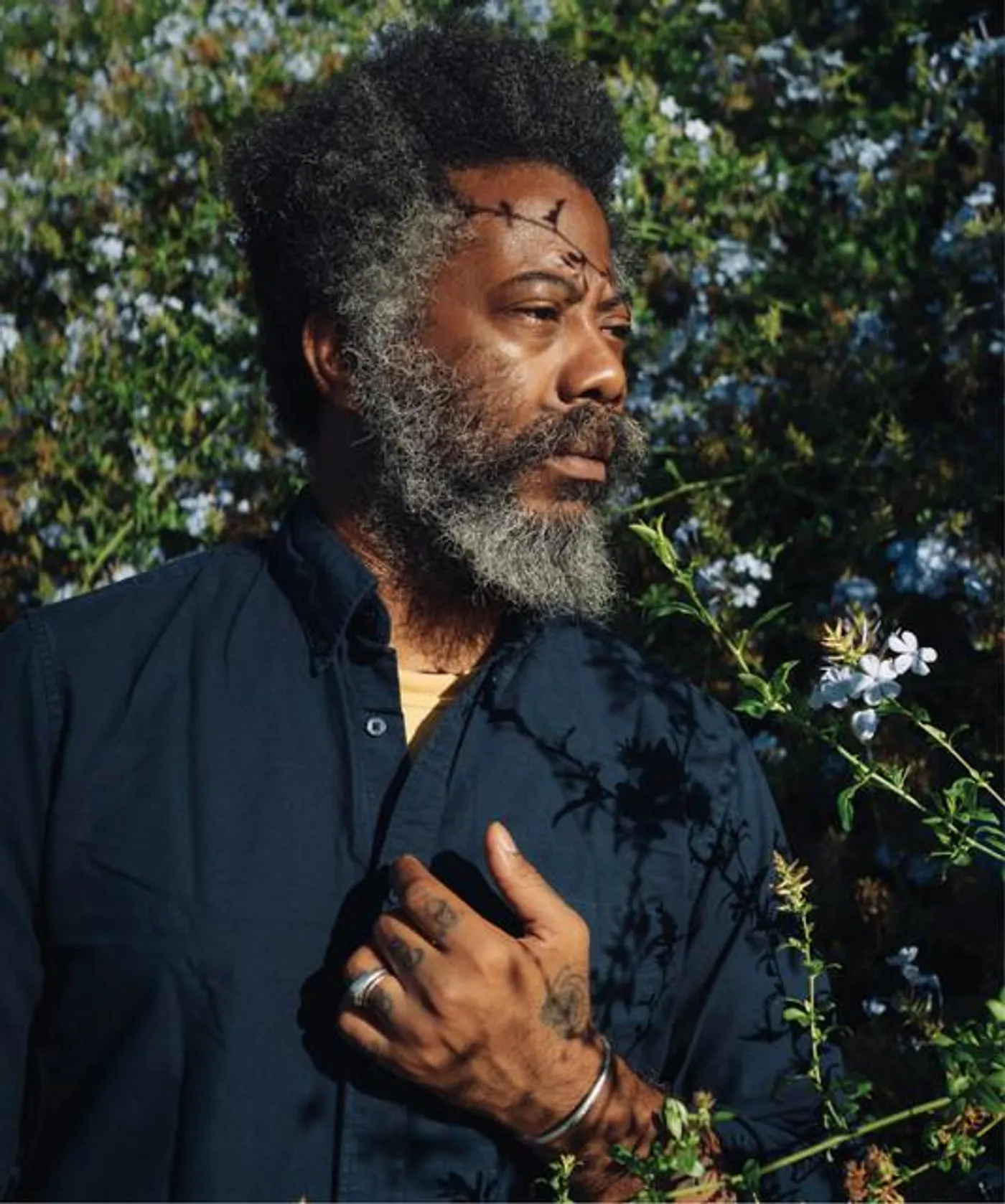 Robert Aiki Aubrey Lowe