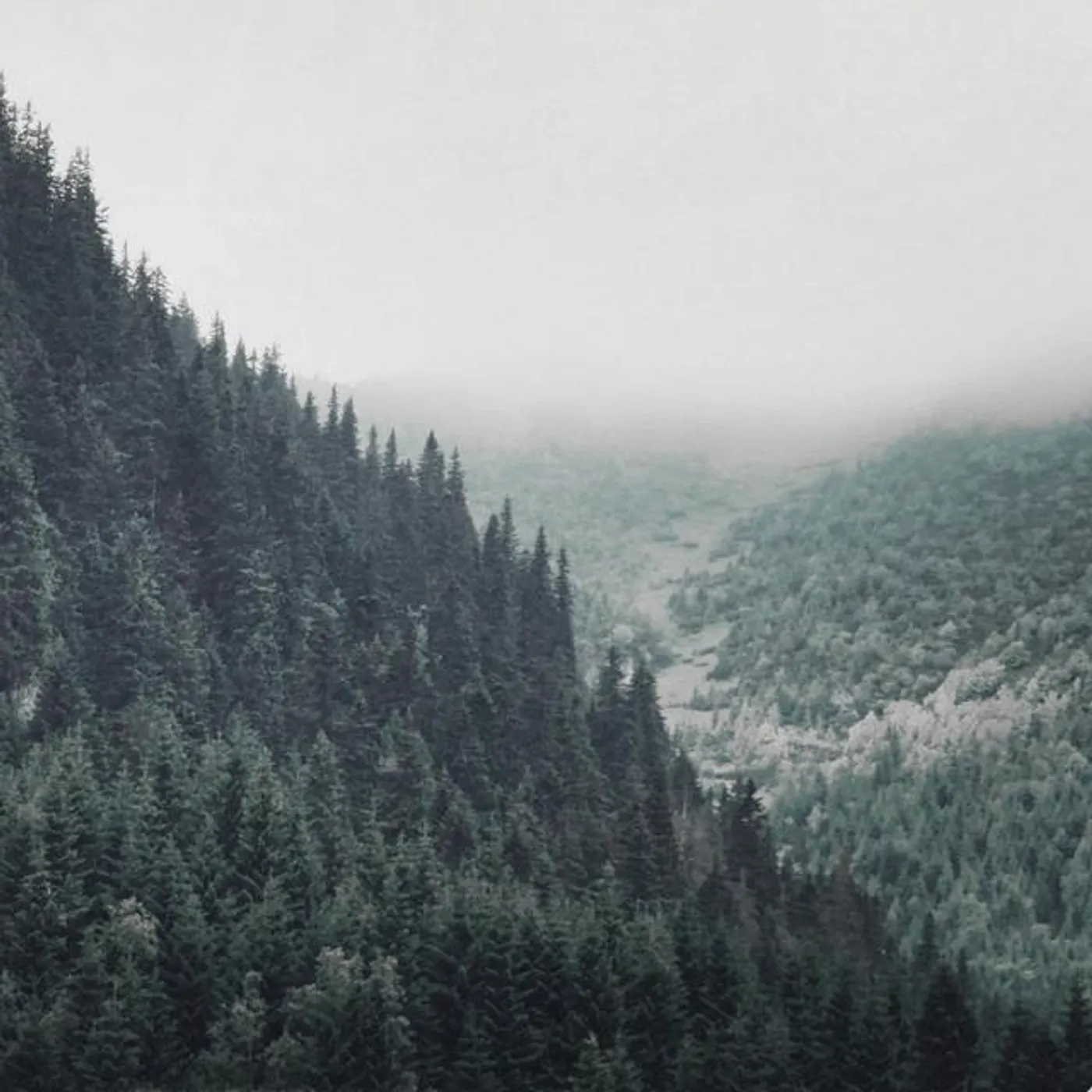 Robin Schlochtermeier Brand Page