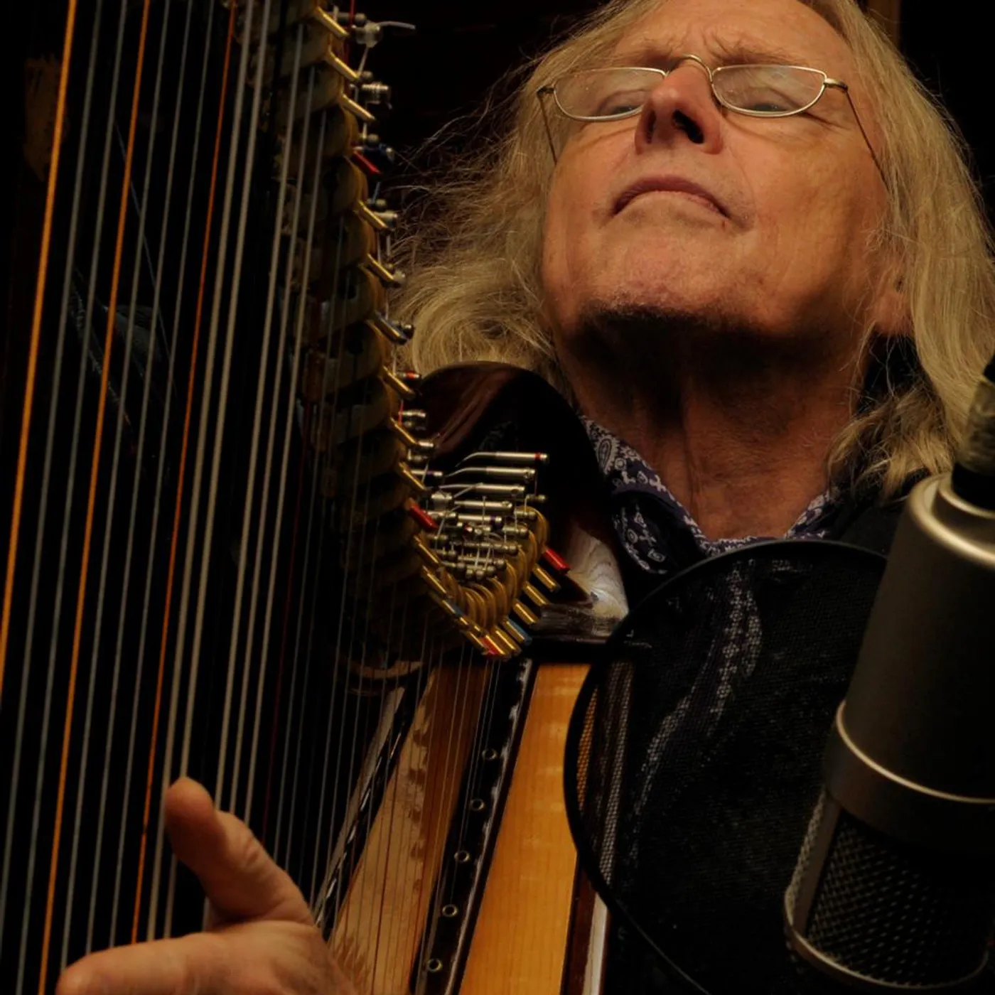 Robin Williamson Brand Page