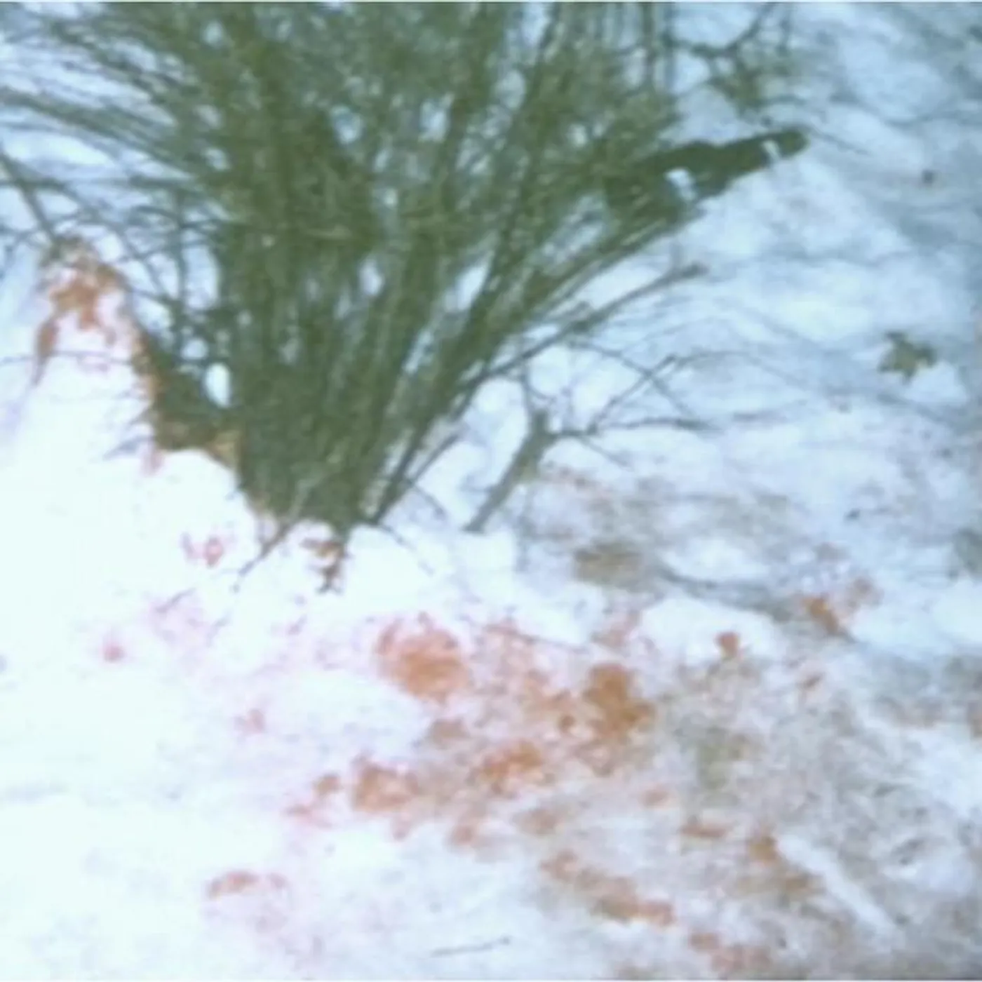 Rochester City Police Department