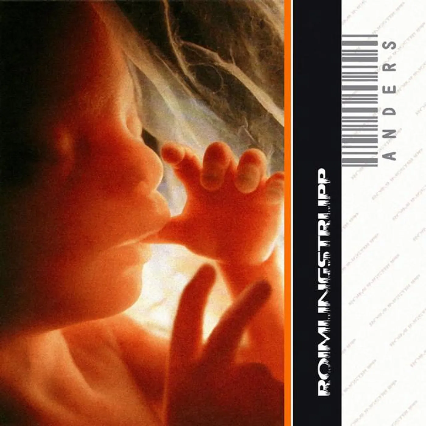 Roimungstrupp Brand Page