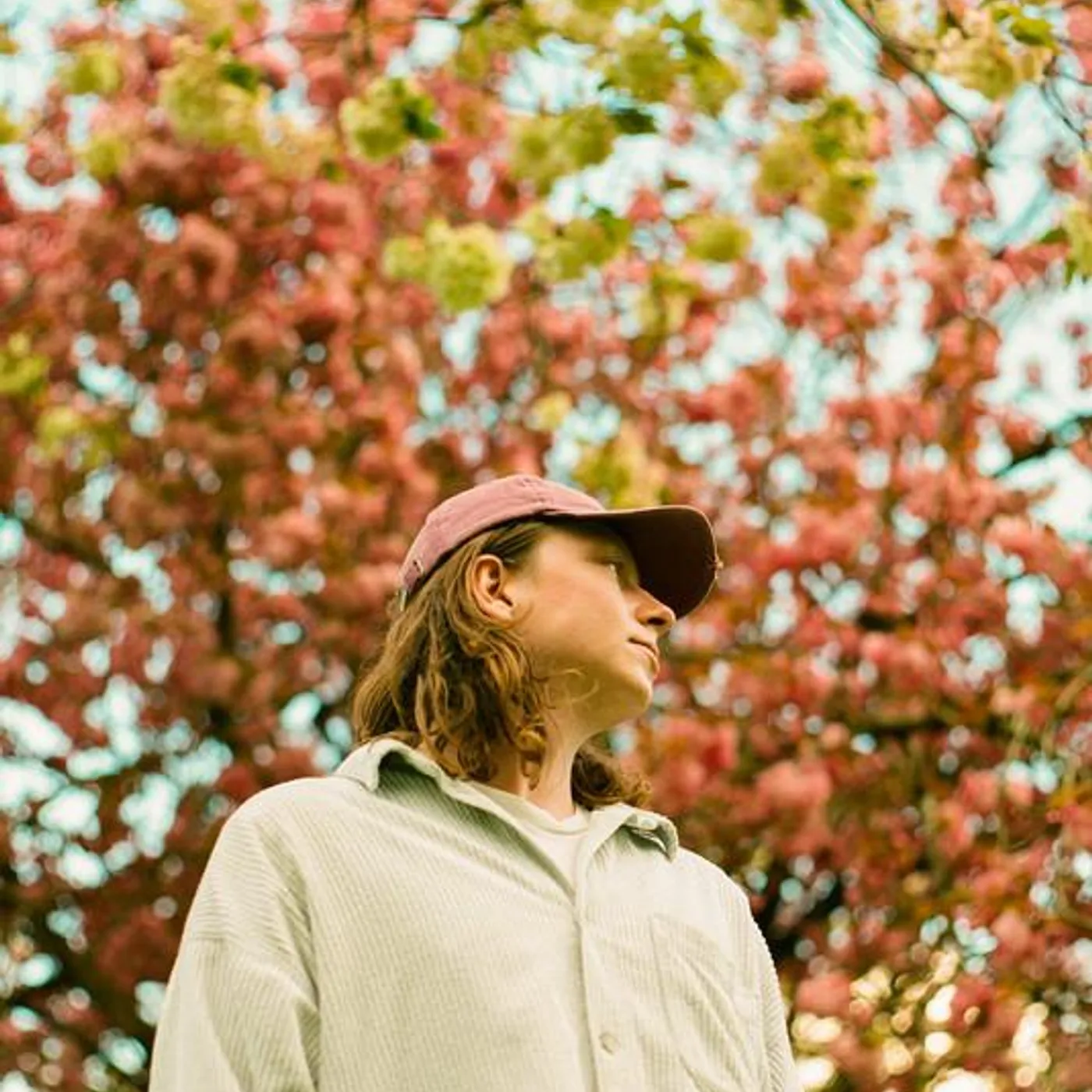 Rollo Doherty Brand Page