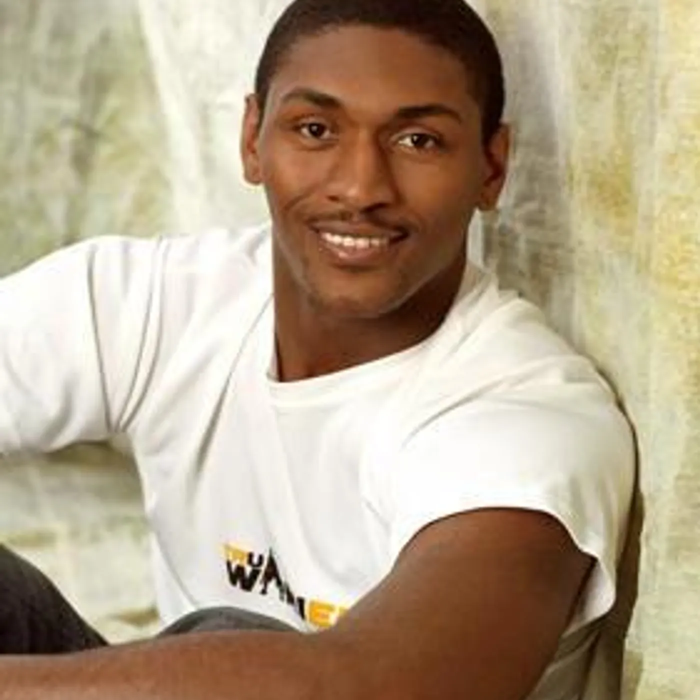 Ron Artest Brand Page