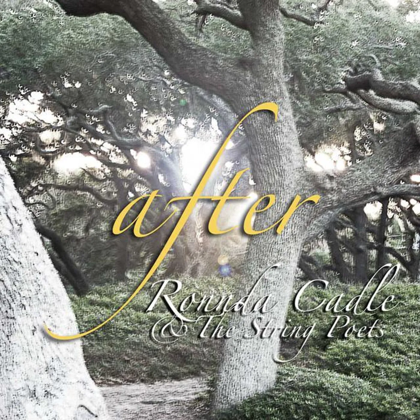 Ronnda Cadle & The String Poets