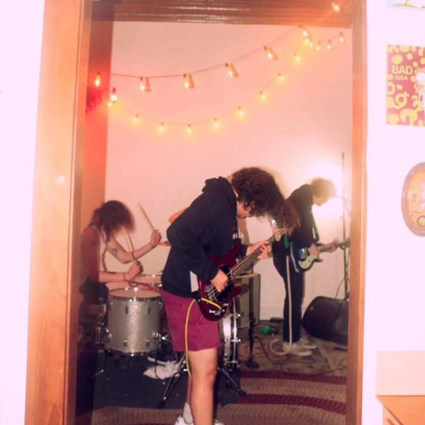 Rookie Card Brand Page