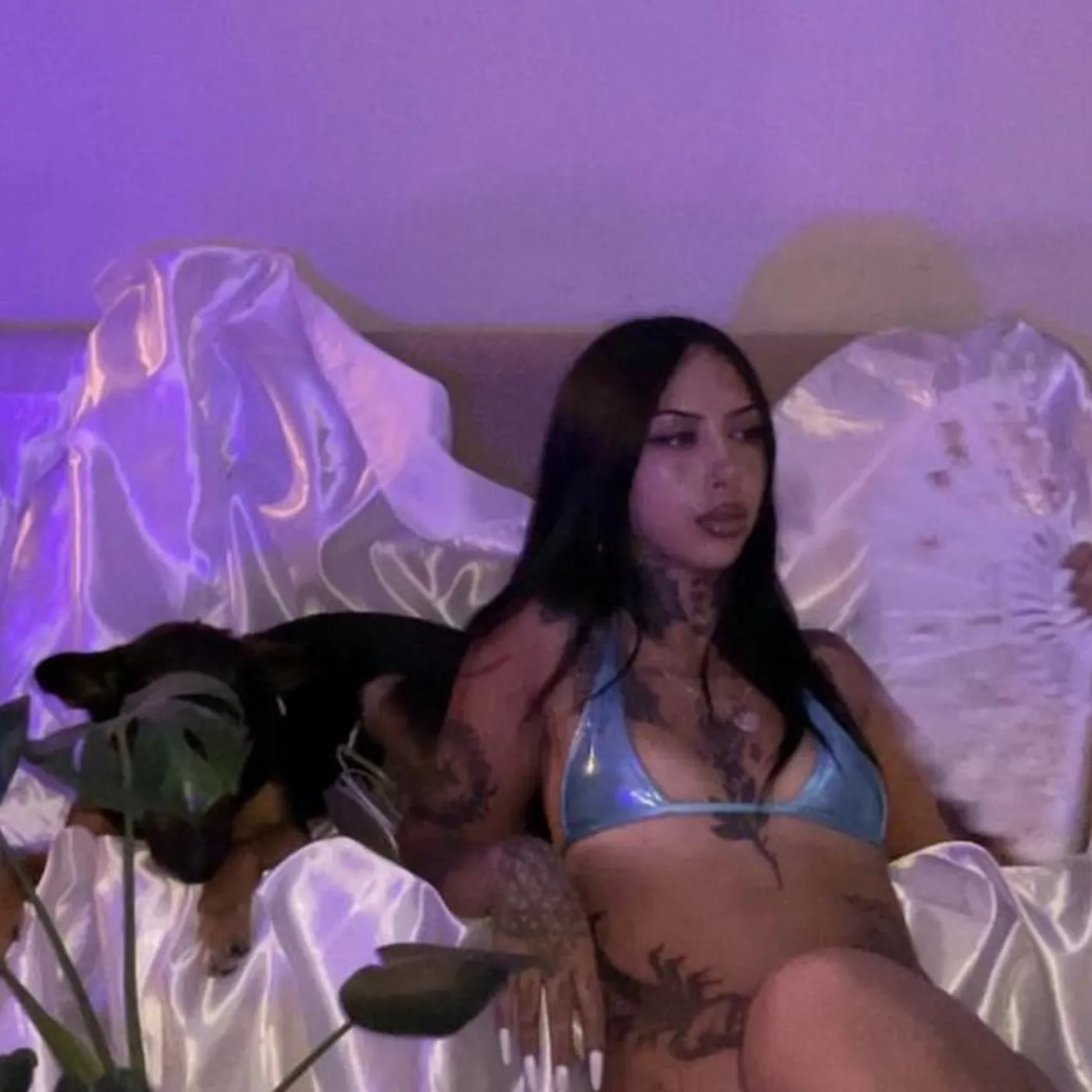 Rata-K1000 Brand Page