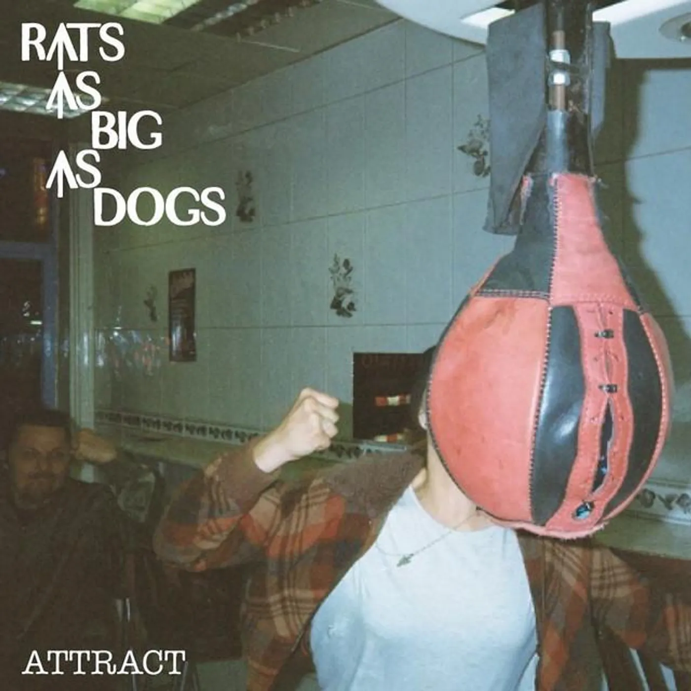Rats As Big As Dogs Brand Page
