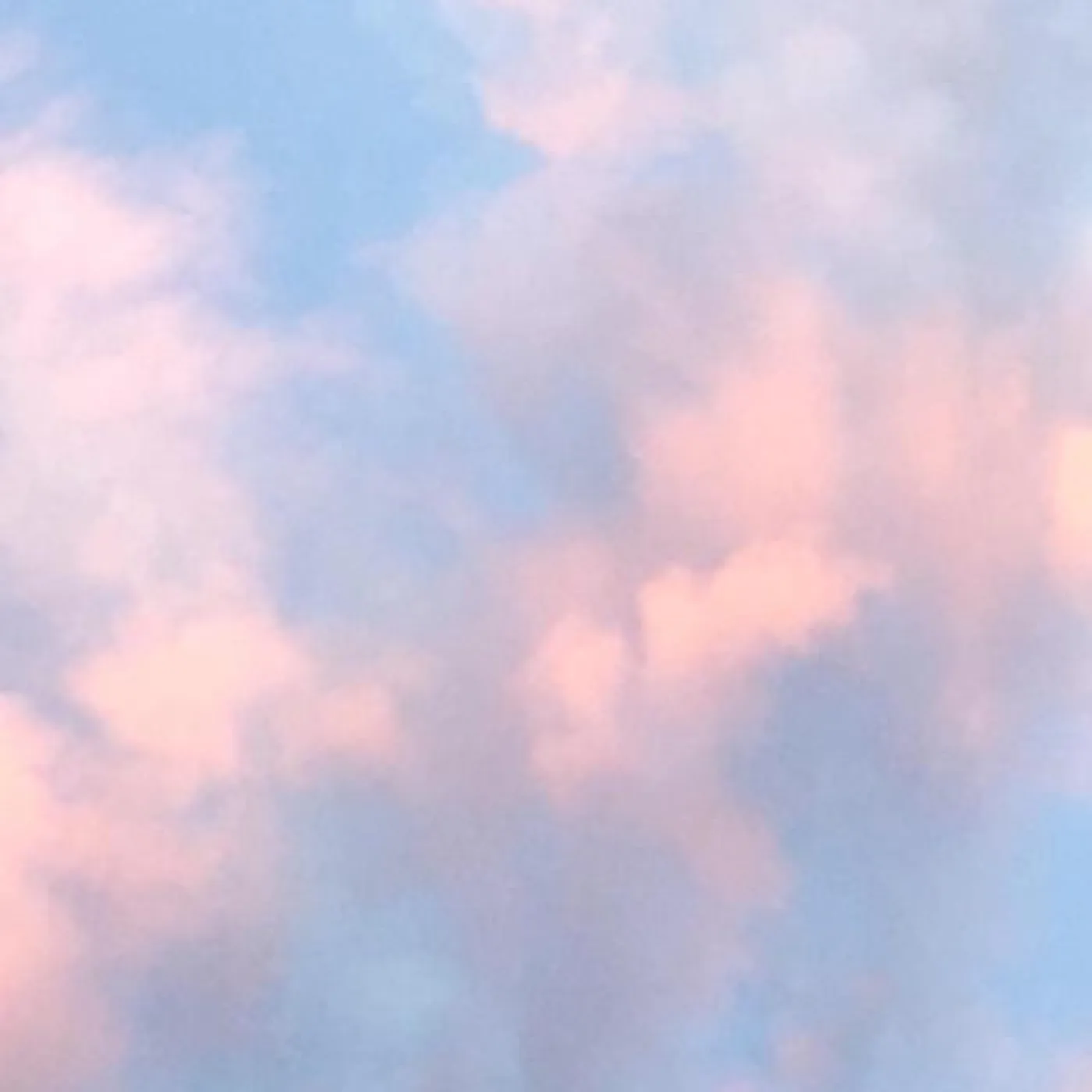 Ray Fields Brand Page