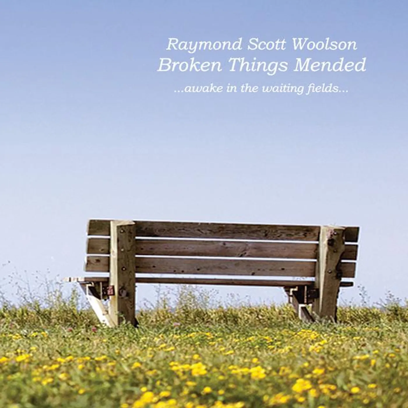 Raymond Scott Woolson Brand Page