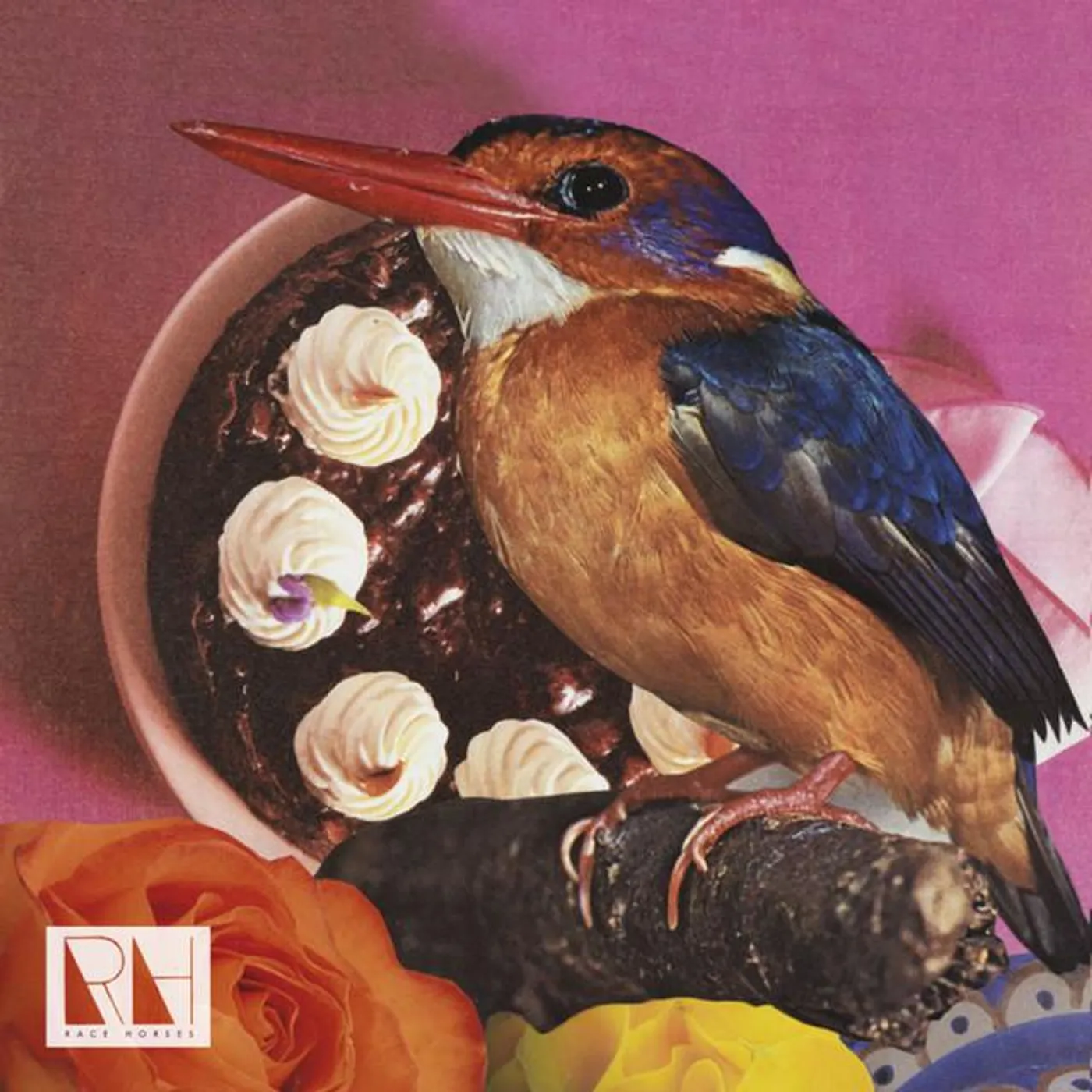 Race Horses Brand Page