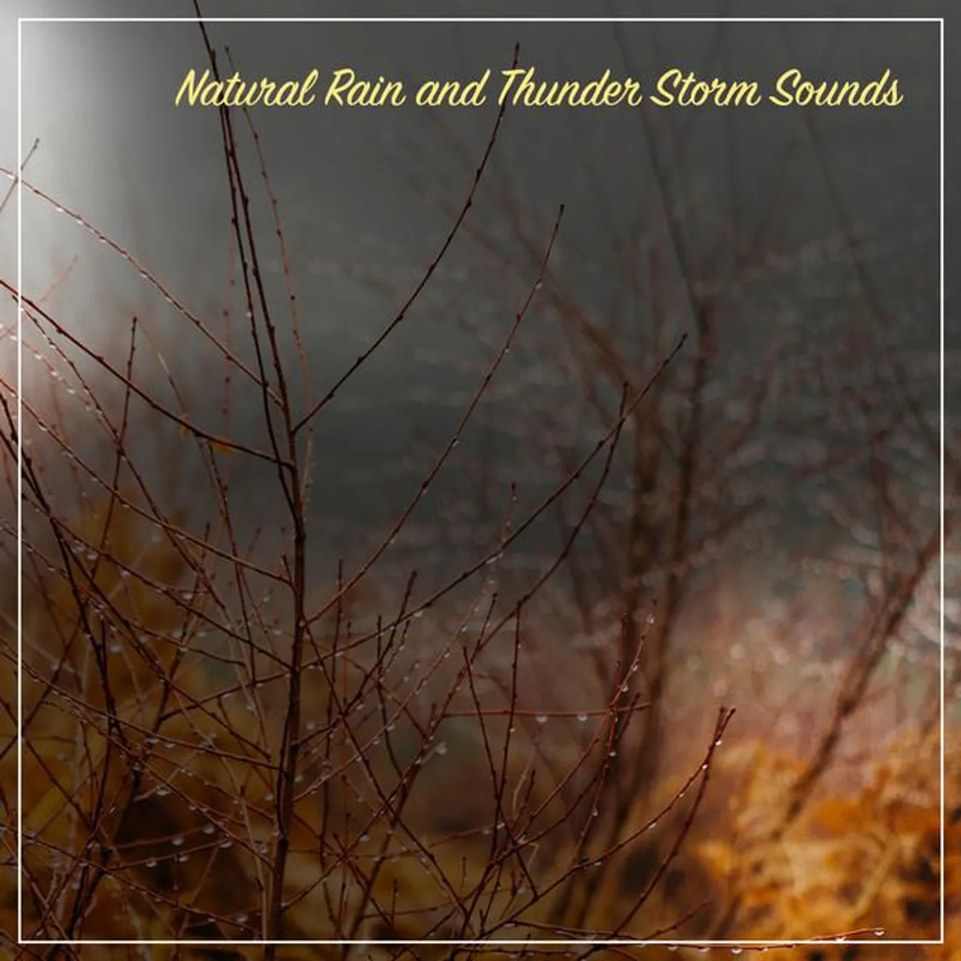 Rain, Thunder and Lightening Storm Sounds Brand Page