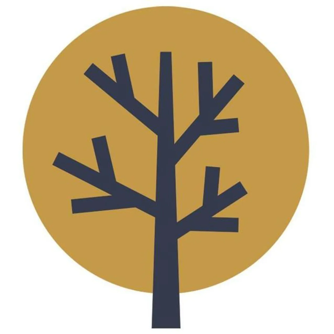 Rain For Roots Brand Page