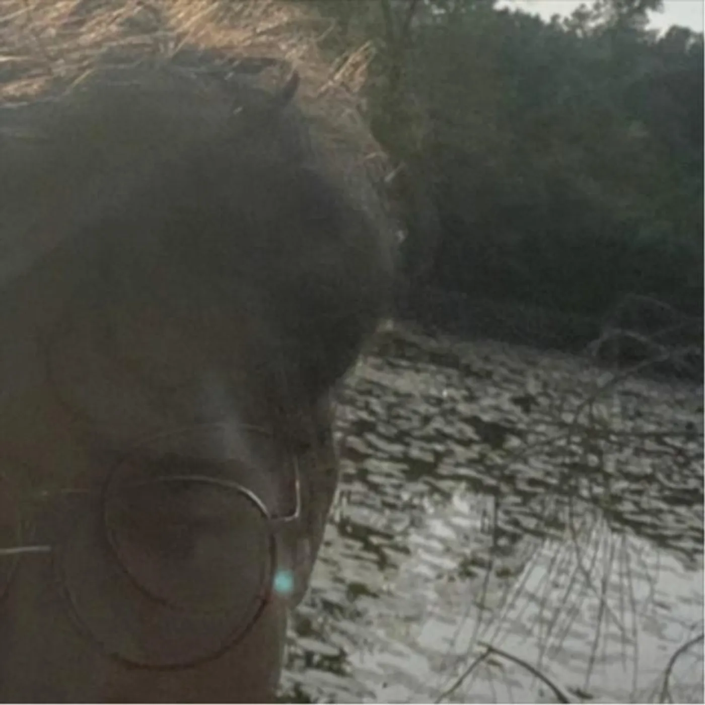 rainfield Brand Page