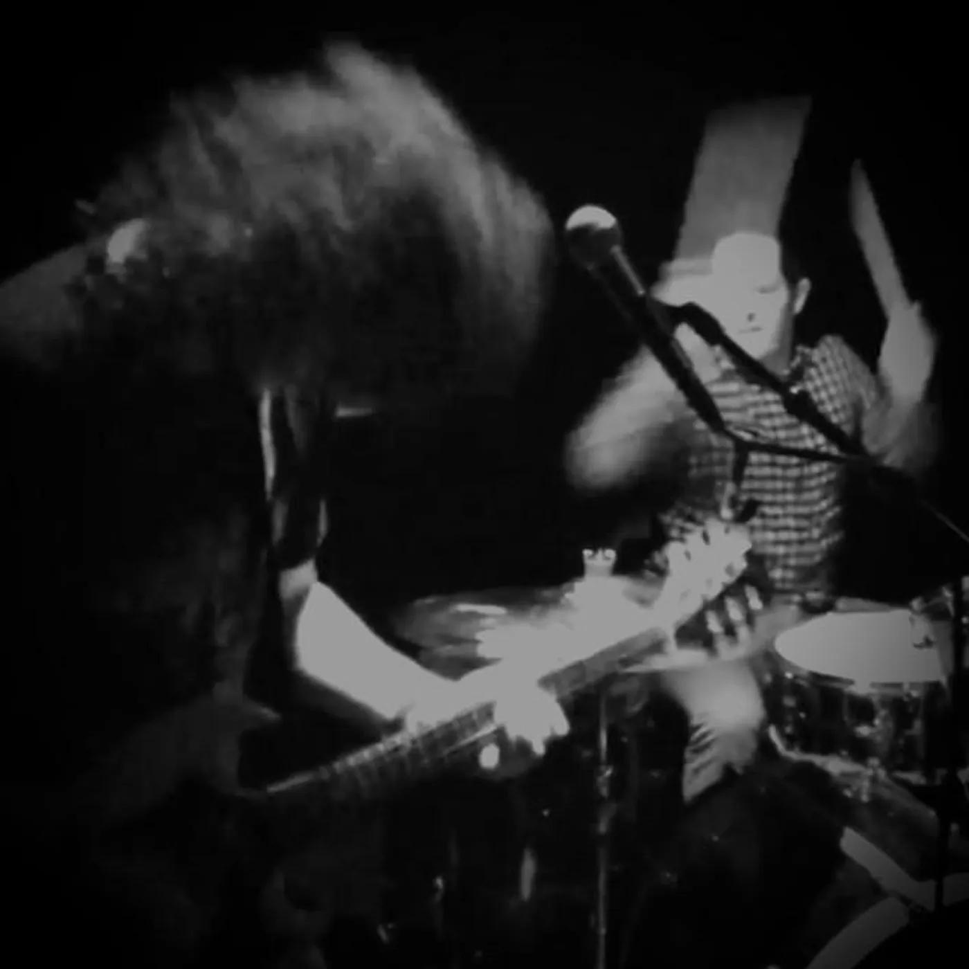 Raised by Zebras Brand Page