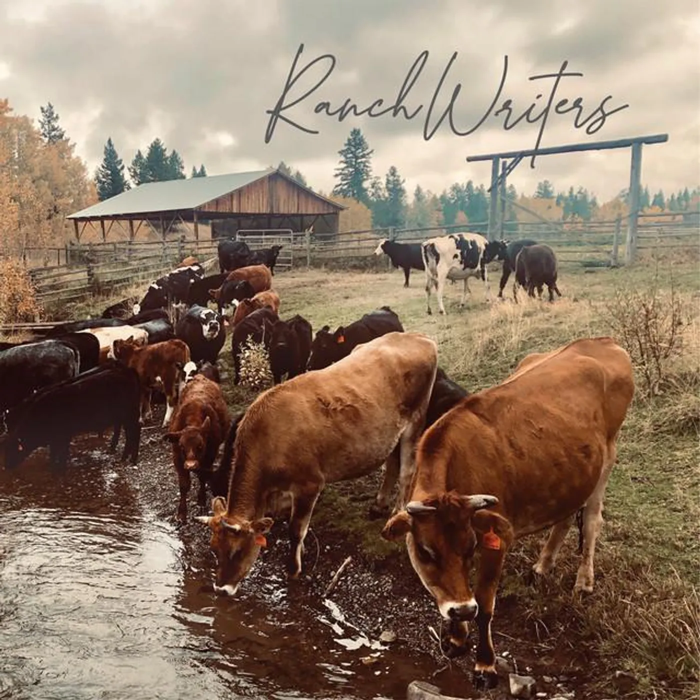 RanchWriters Brand Page