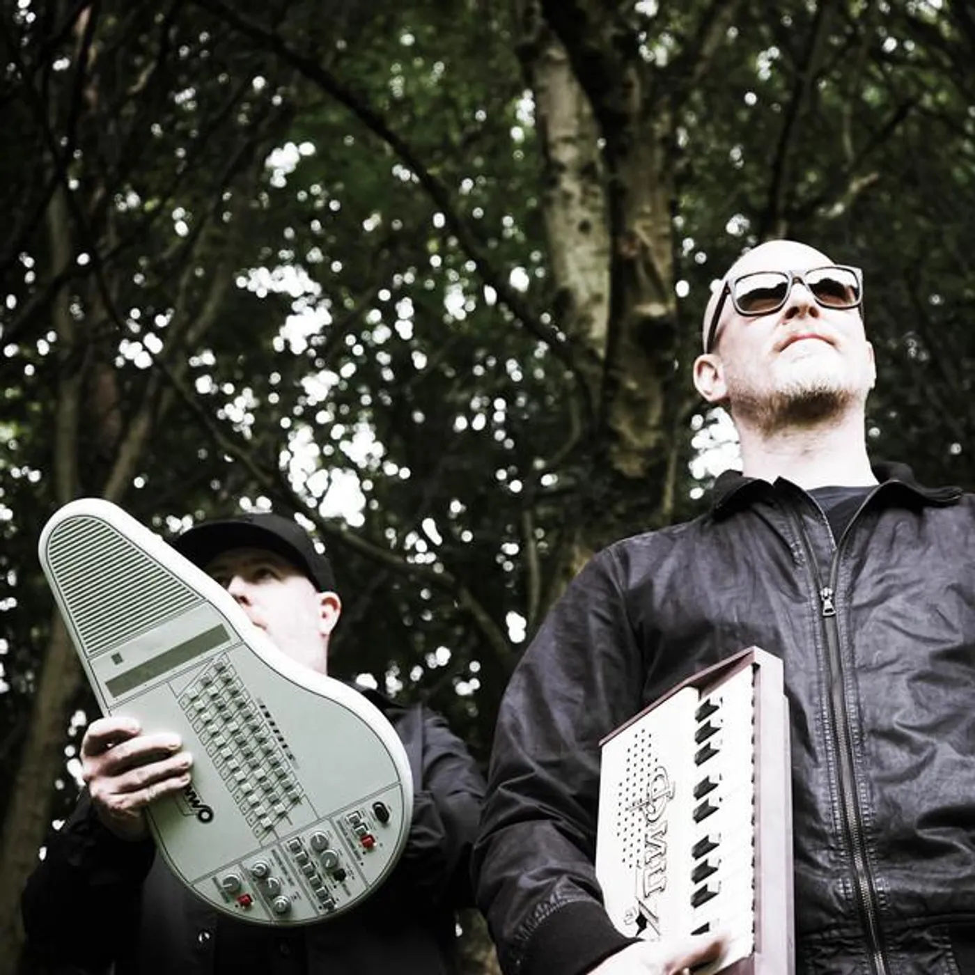 Random Forest Brand Page