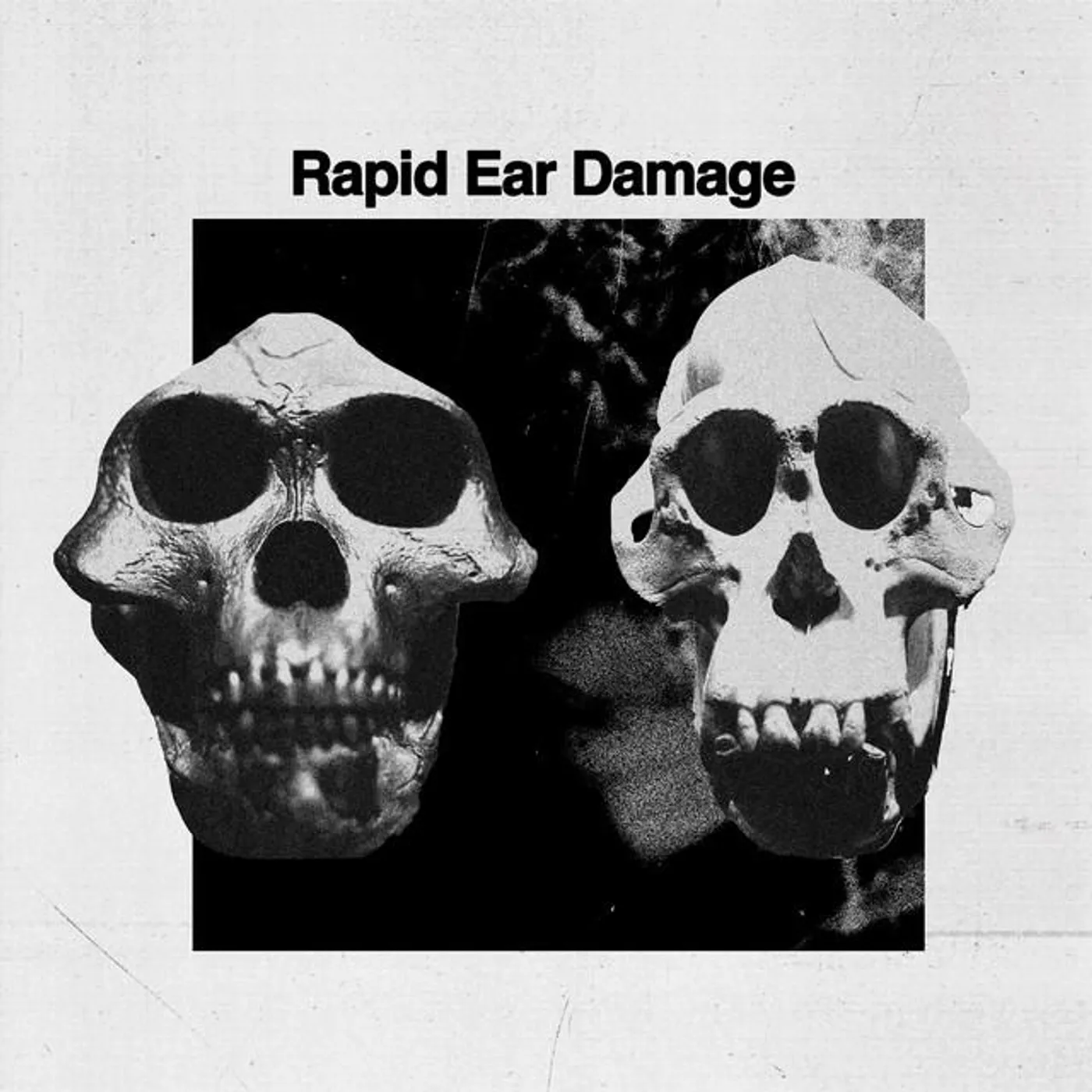 Rapid Ear Damage