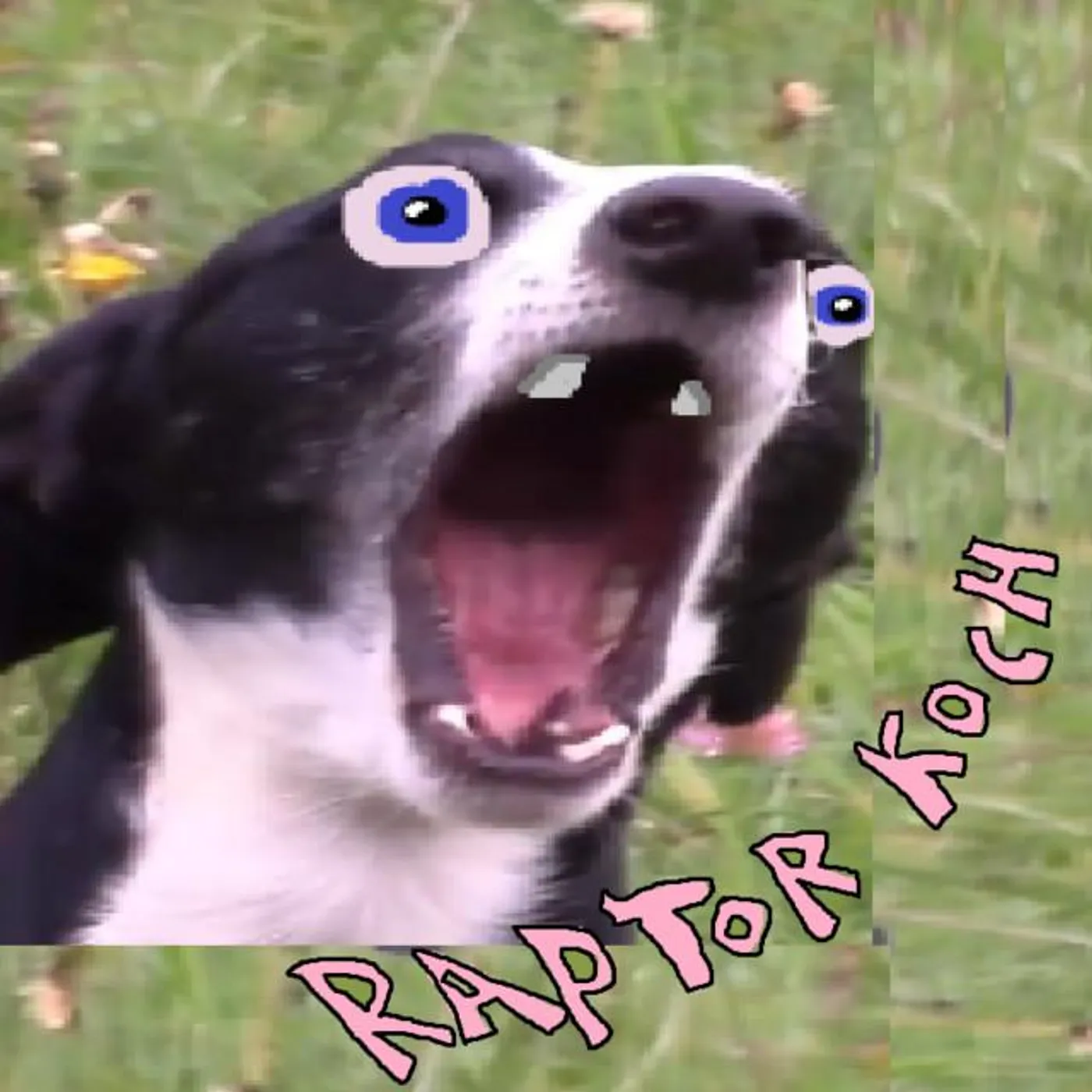 Raptor Koch Brand Page