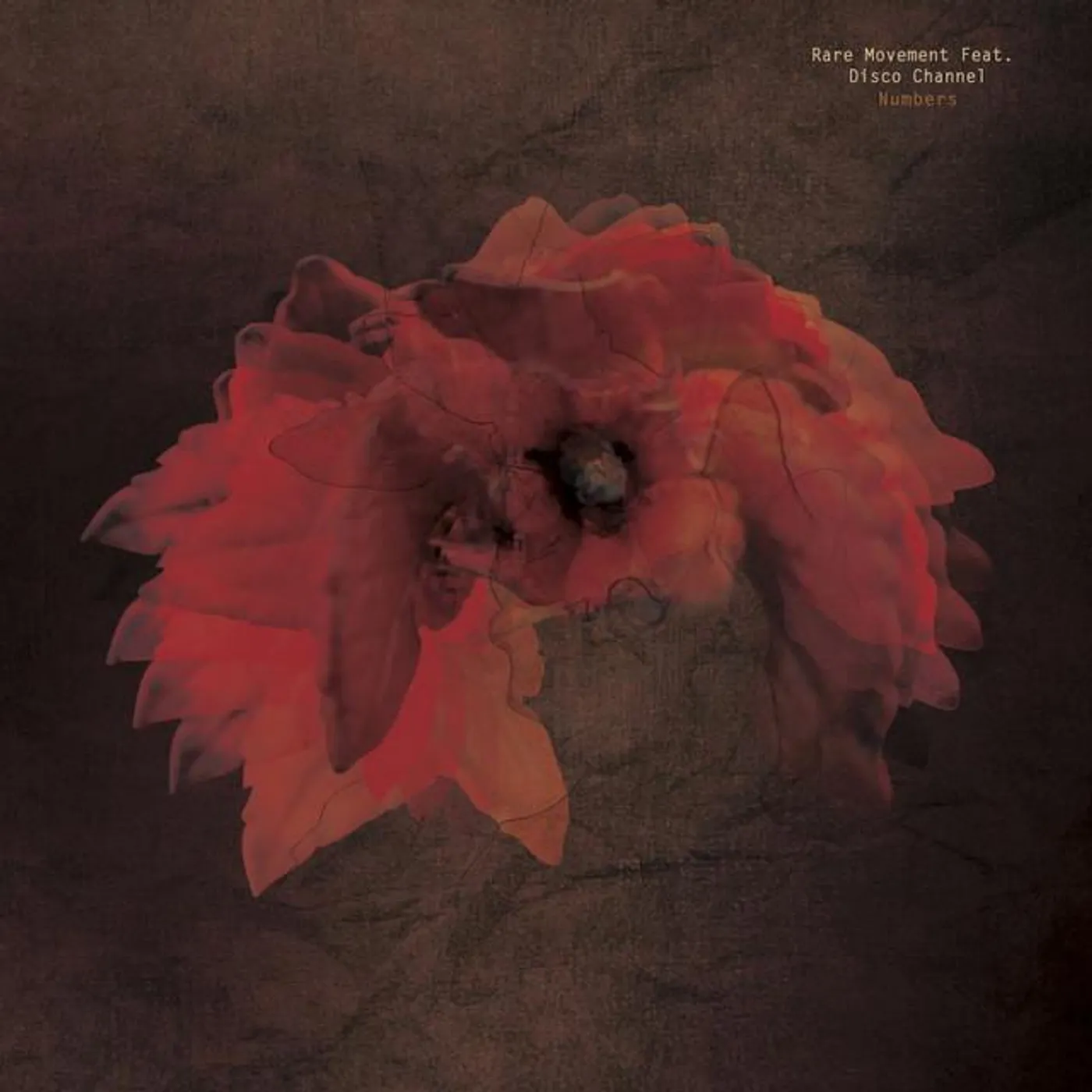 Rare Movement Brand Page