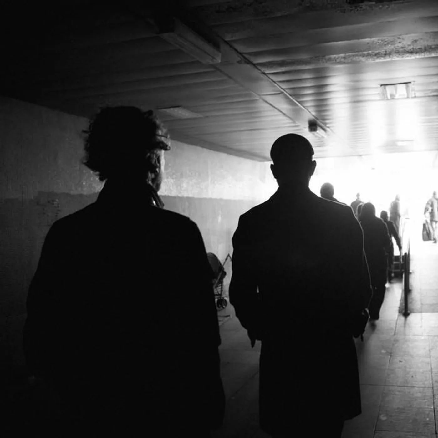 Reverie Falls On All