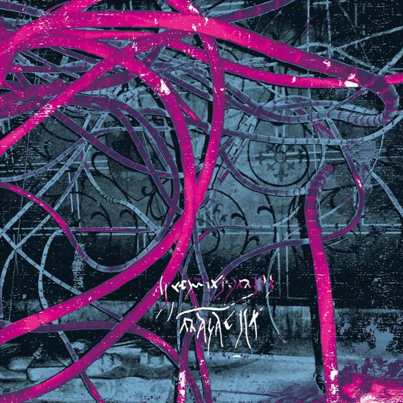 Reverorum ib Malacht