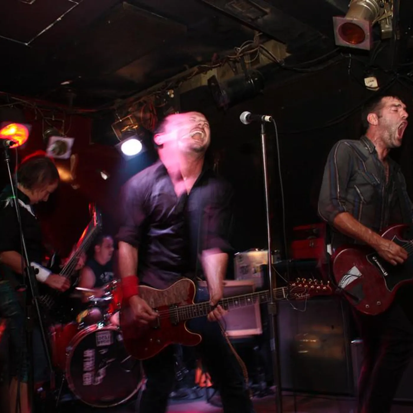 Red Collar Brand Page