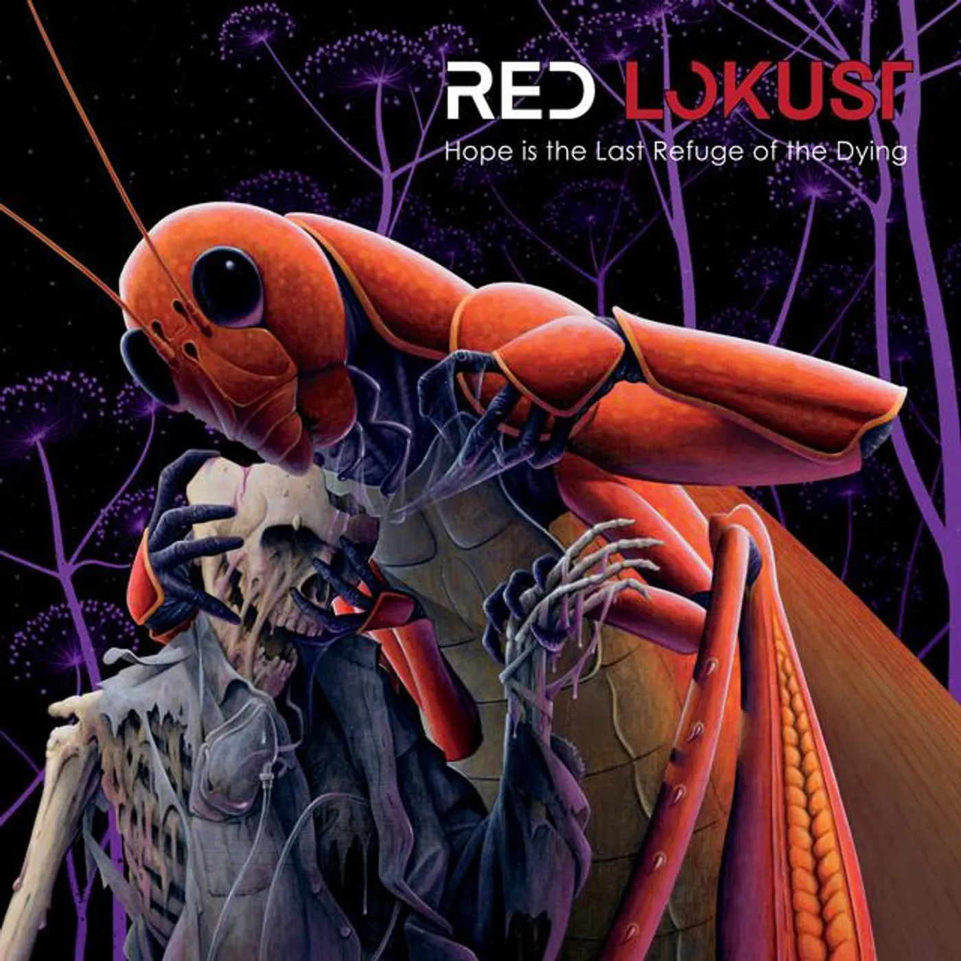 Red Lokust Brand Page