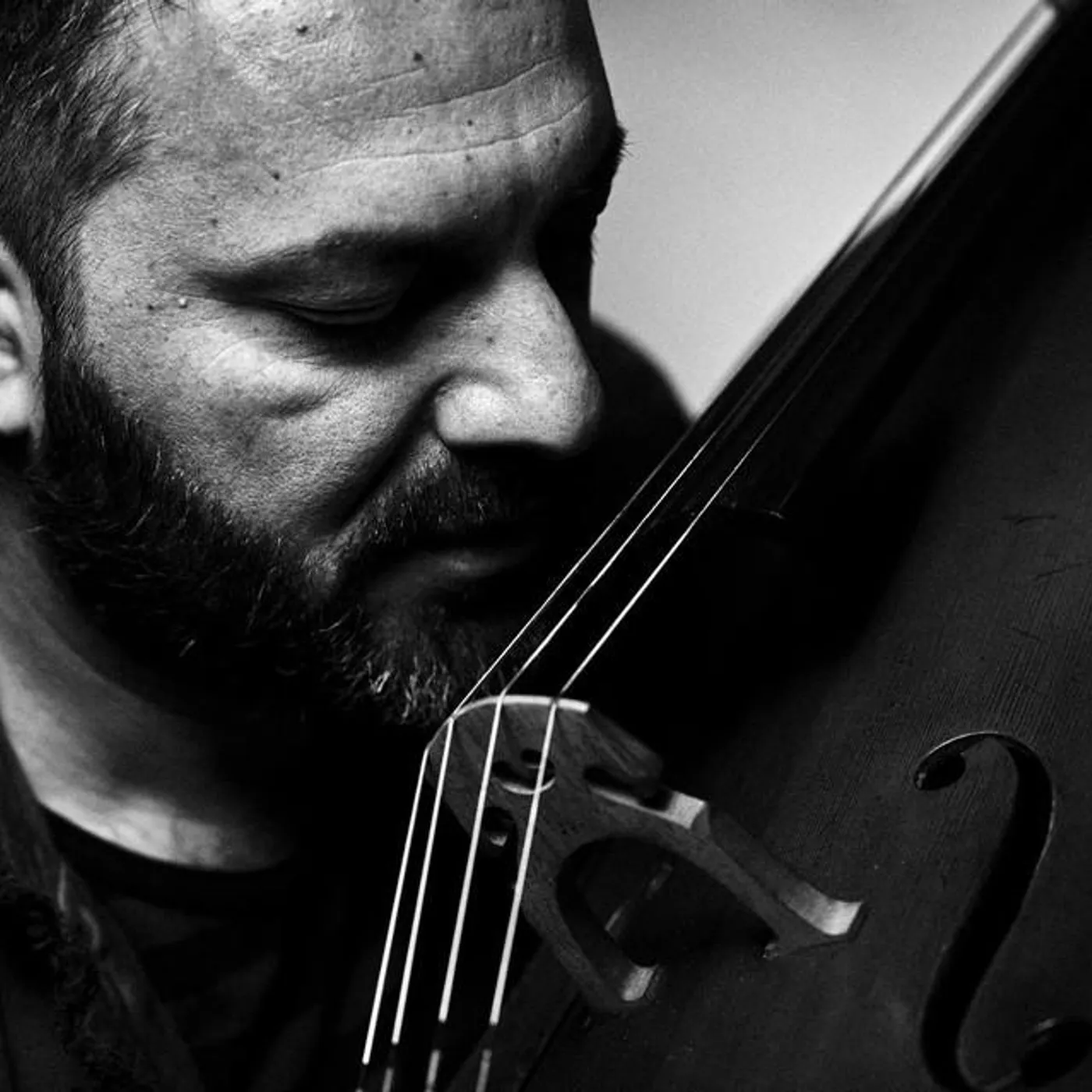 Redi Hasa Brand Page