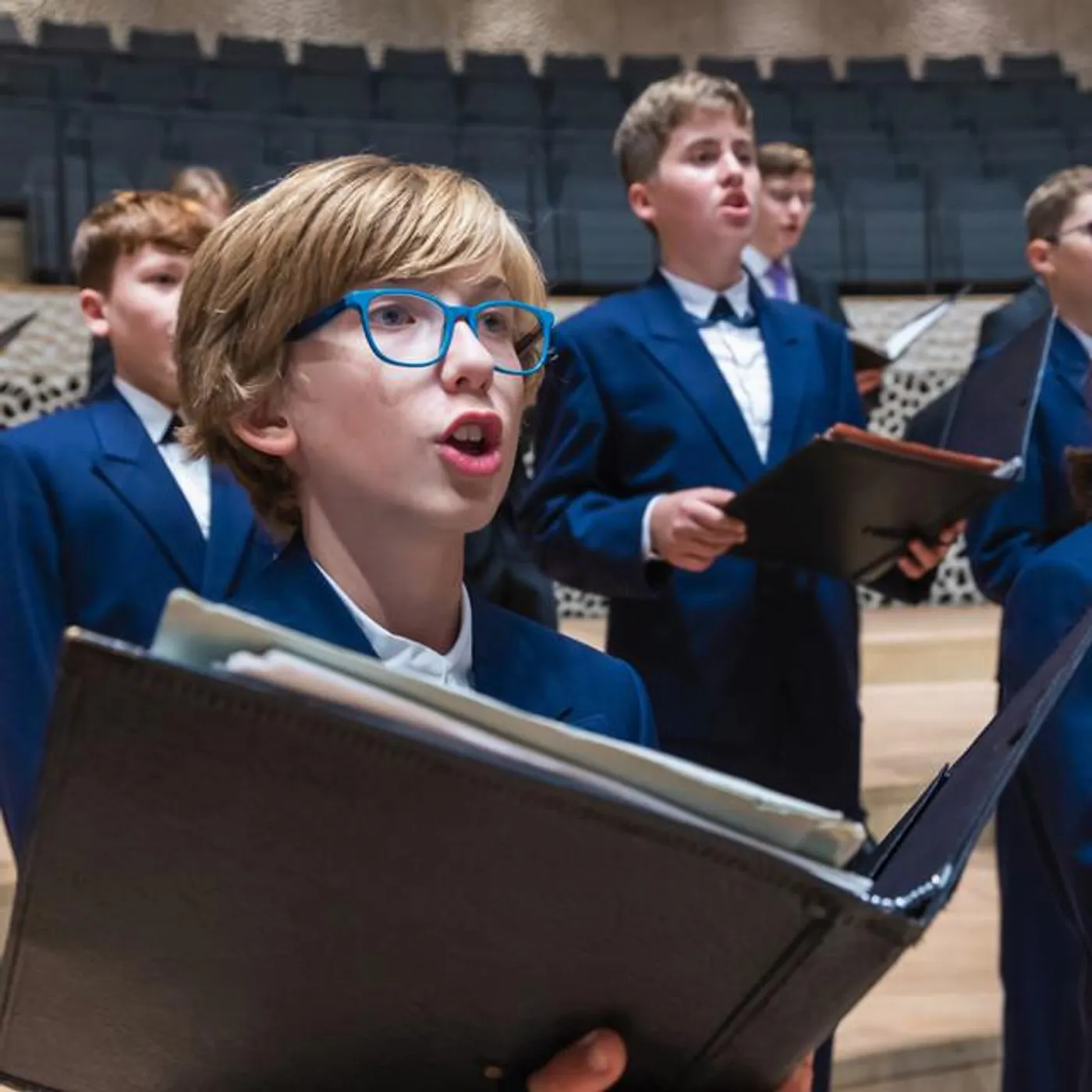 Regensburger Domspatzen Brand Page