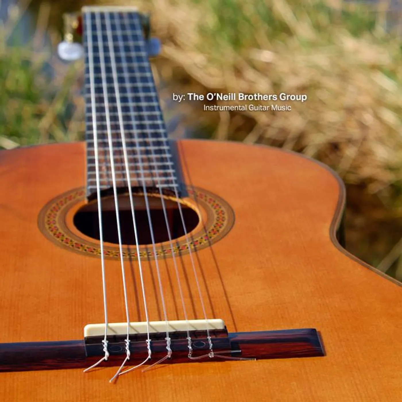 Relaxing Guitar Group Brand Page