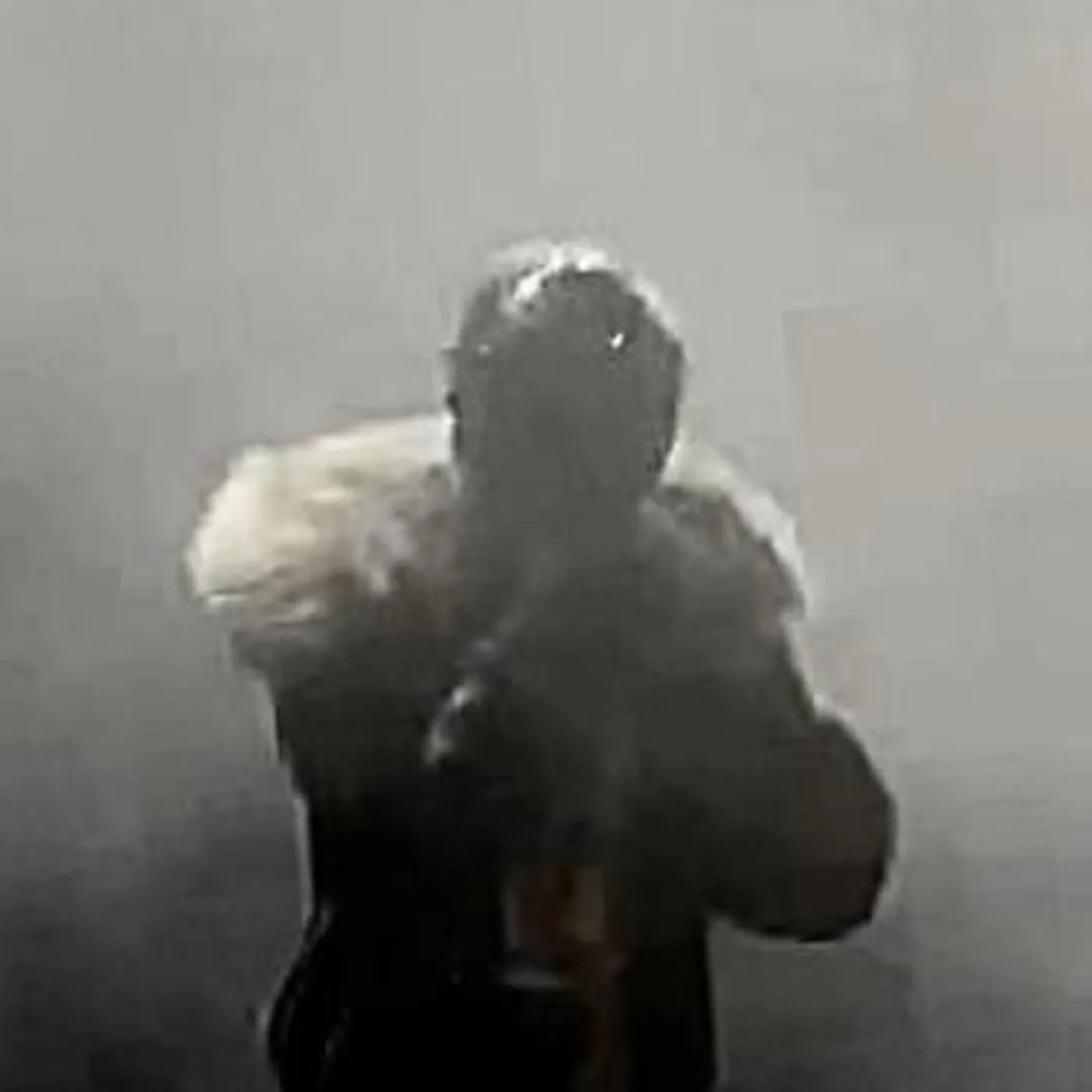 removeface Brand Page