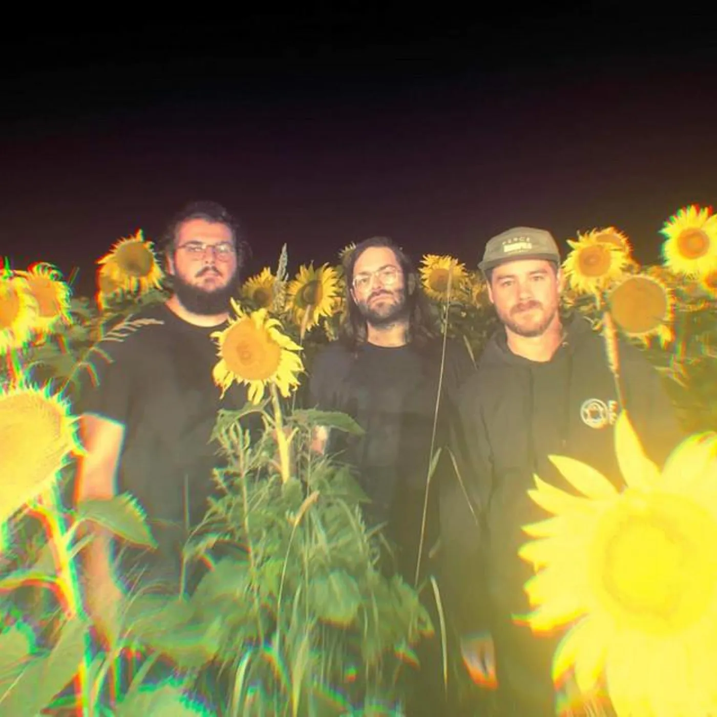 Renard Blanc Brand Page