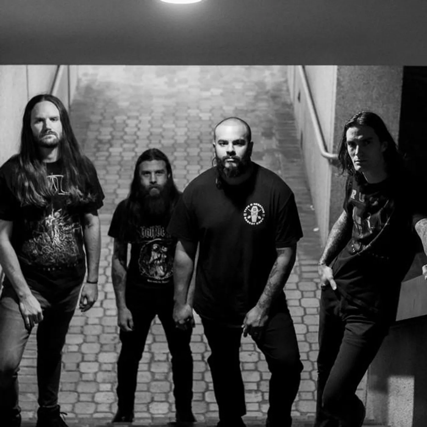 Rhythm Of Fear Brand Page