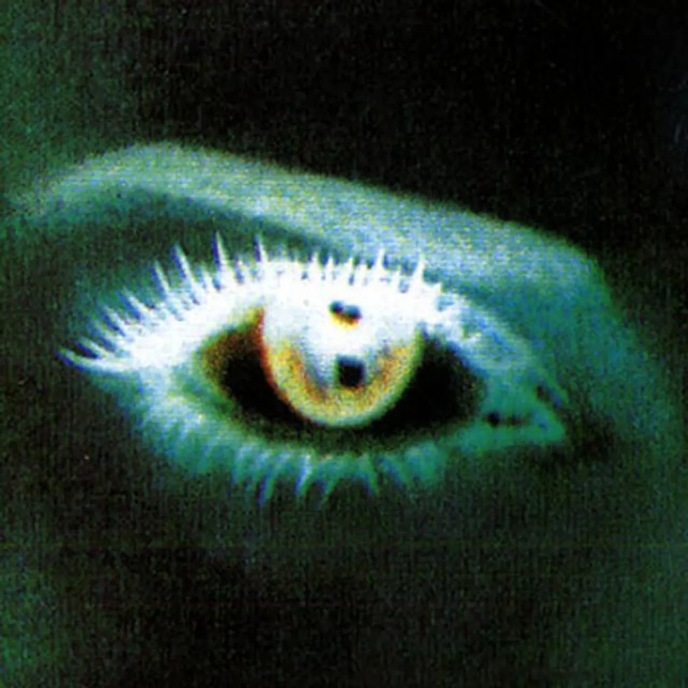 Riccardo Del Fra Brand Page