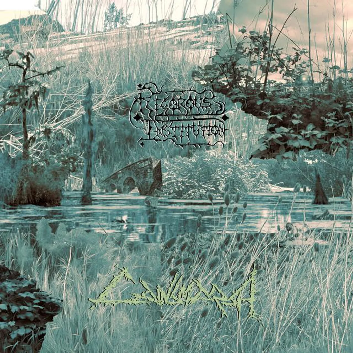 Rigorous Institution