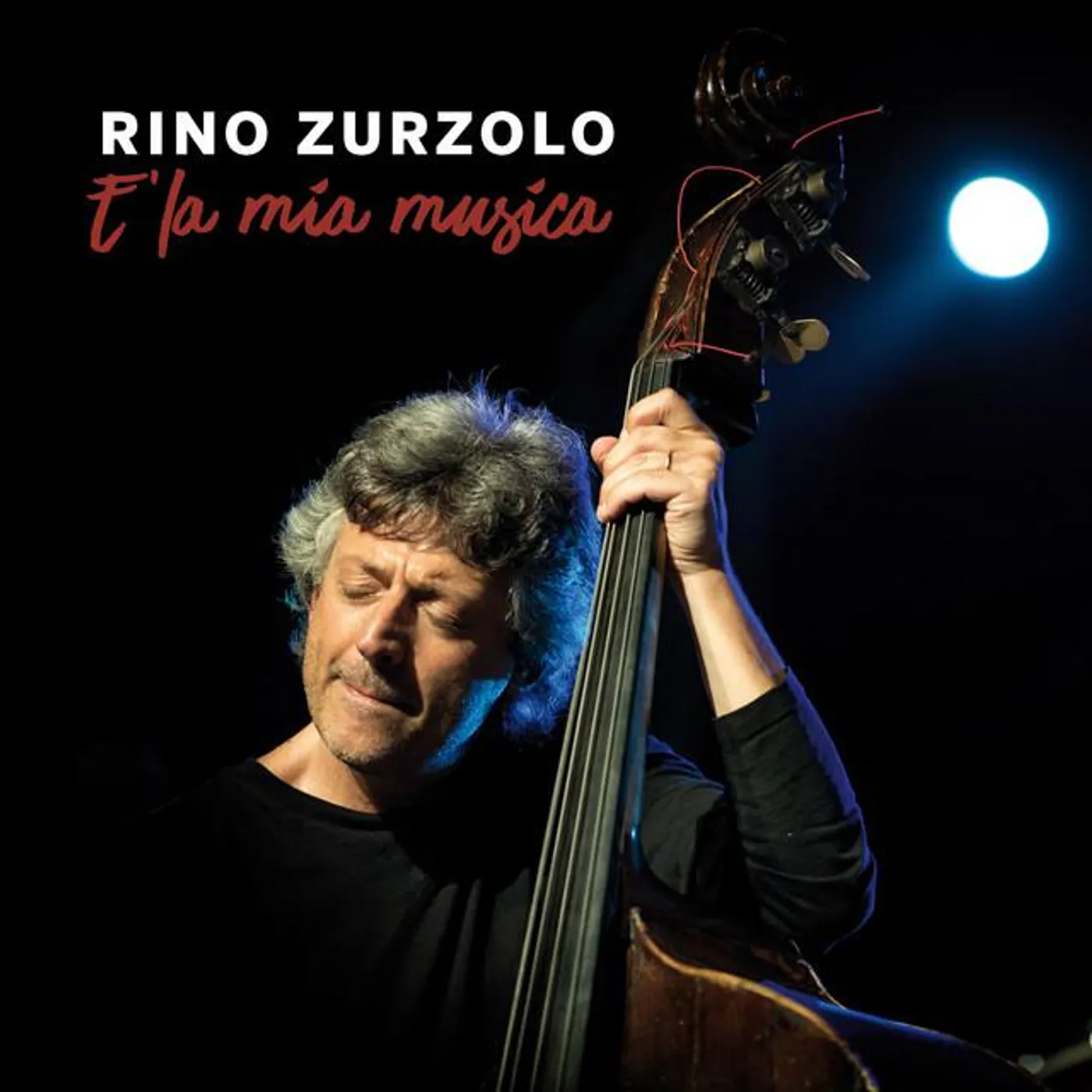 Rino Zurzolo