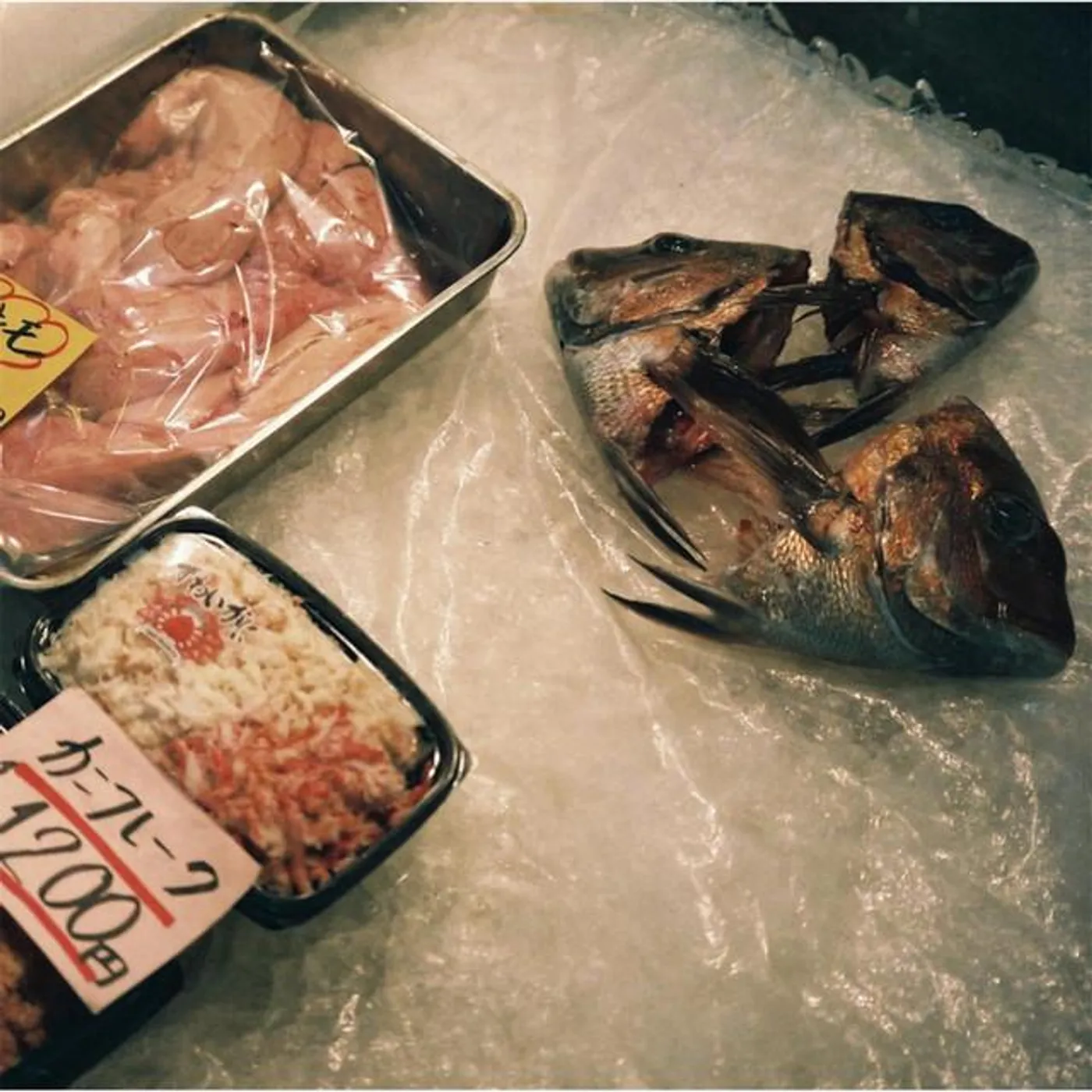 Ruth Carp and the Fish Heads