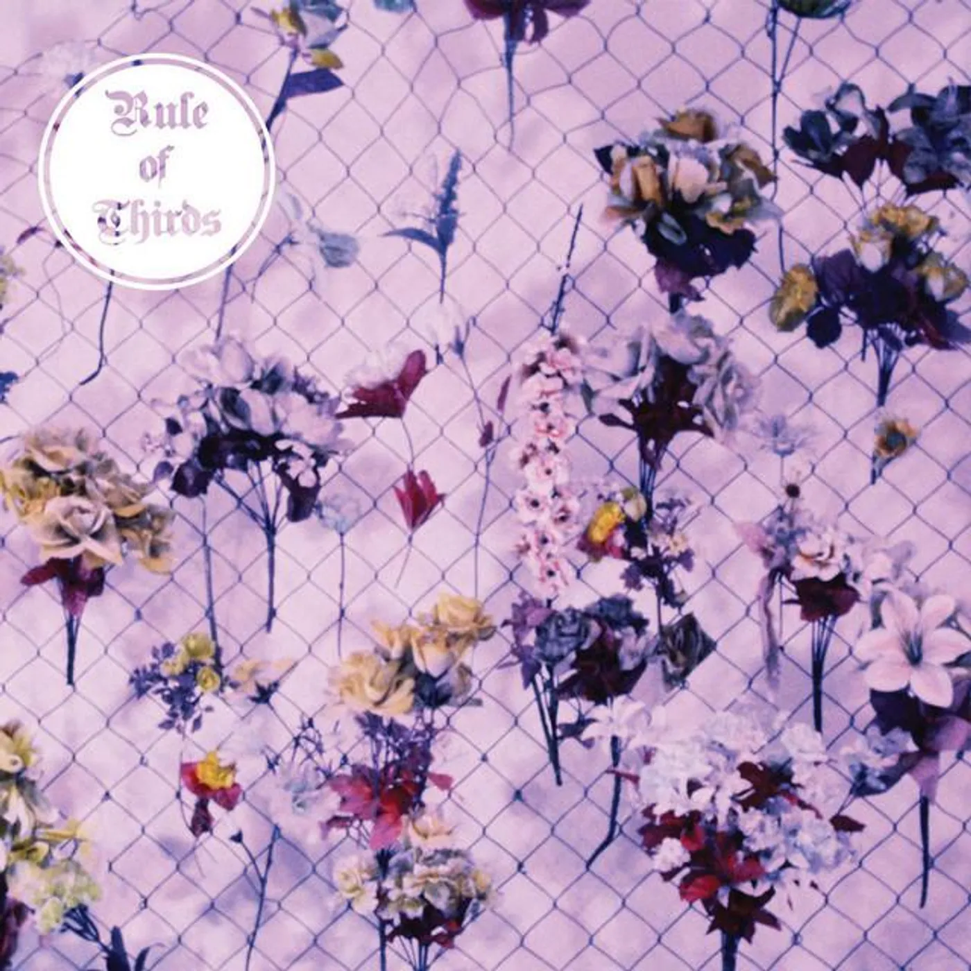 Rule of Thirds Brand Page