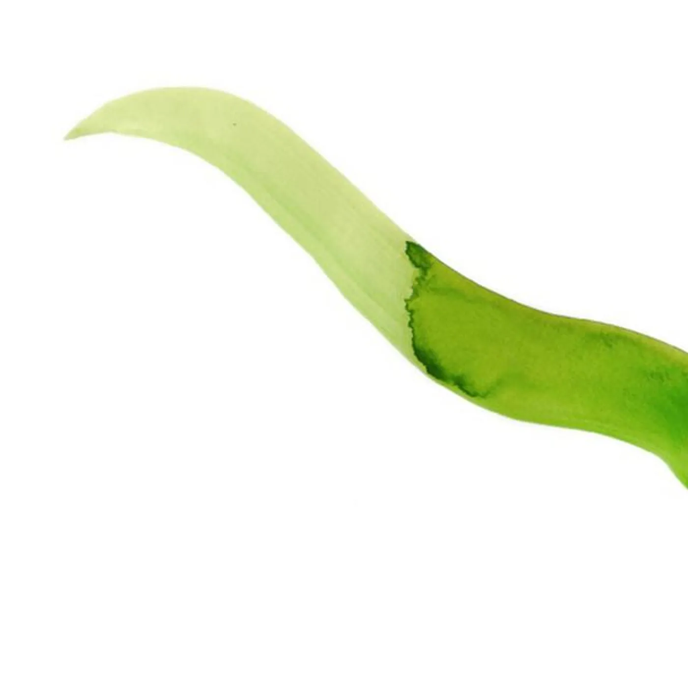 Run Stop Restore Brand Page