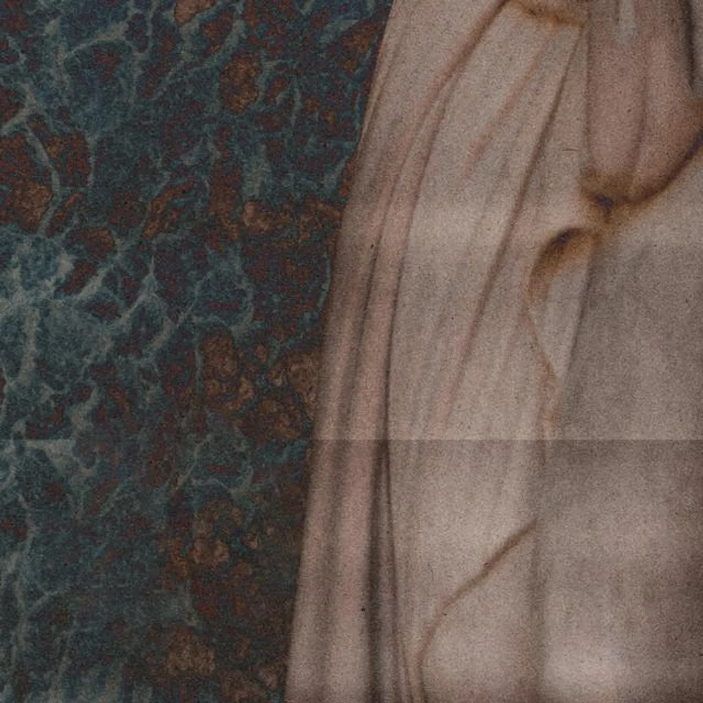 Ryley Moss Brand Page