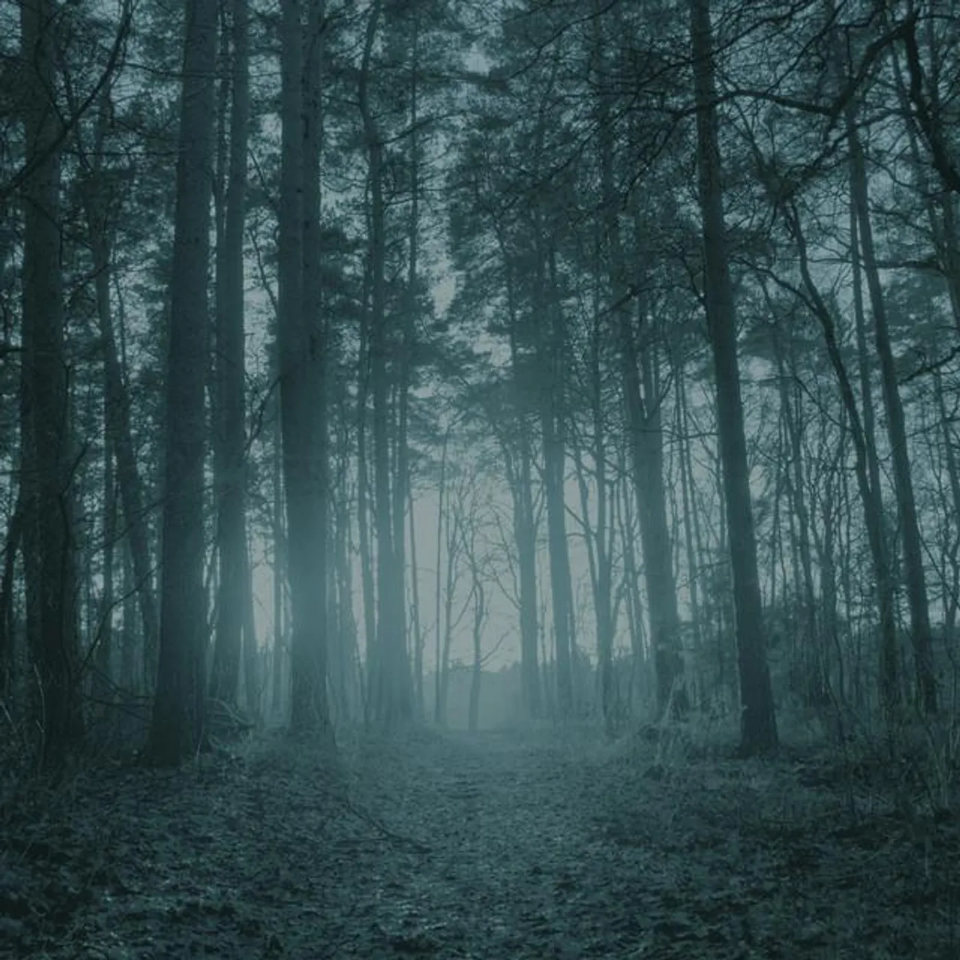 Wouter Veldhuis Brand Page