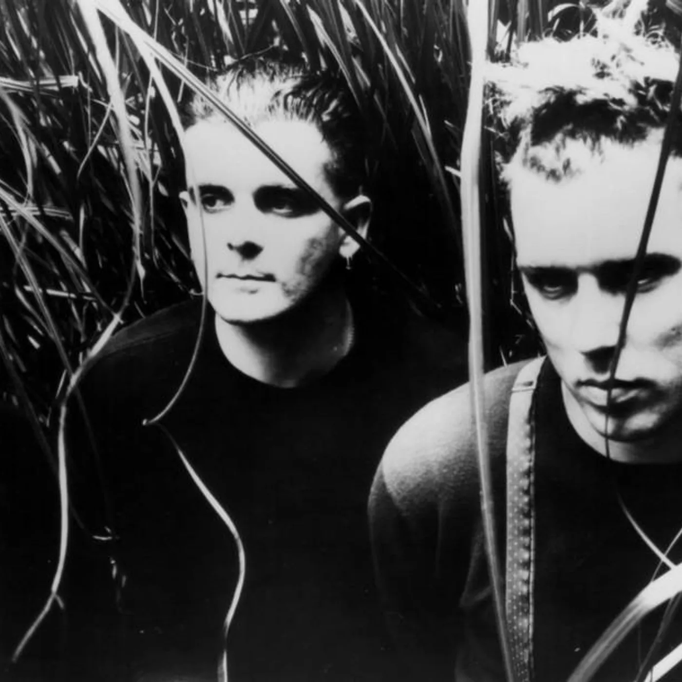 The Wolfgang Press Brand Page